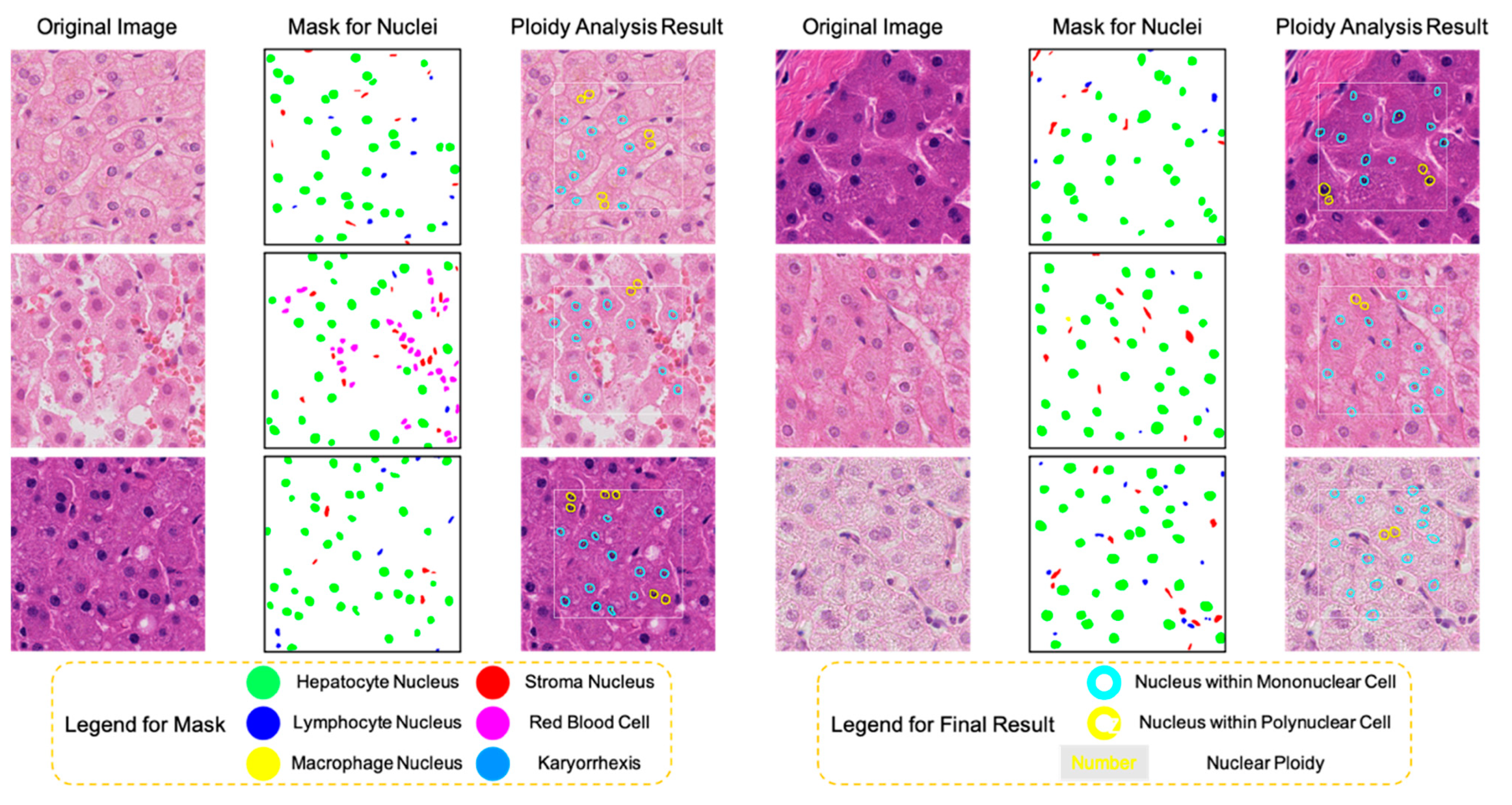 Genes 14 00921 g005 Genes 14 00921 g005
