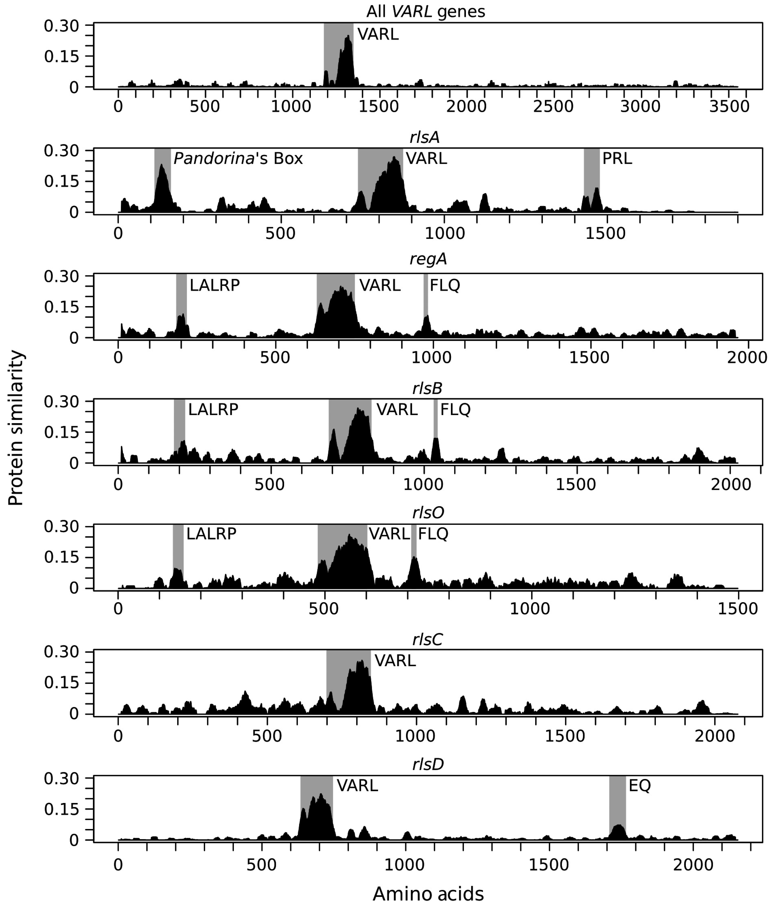 Genes 14 00941 g005 Genes 14 00941 g005