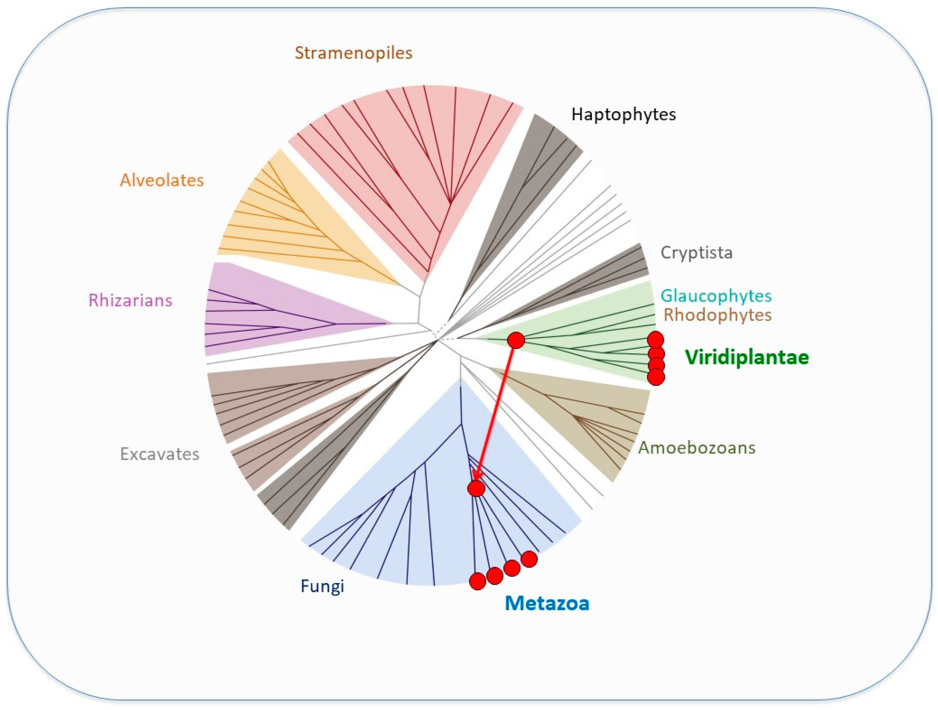 Genes 14 00941 g007 Genes 14 00941 g007