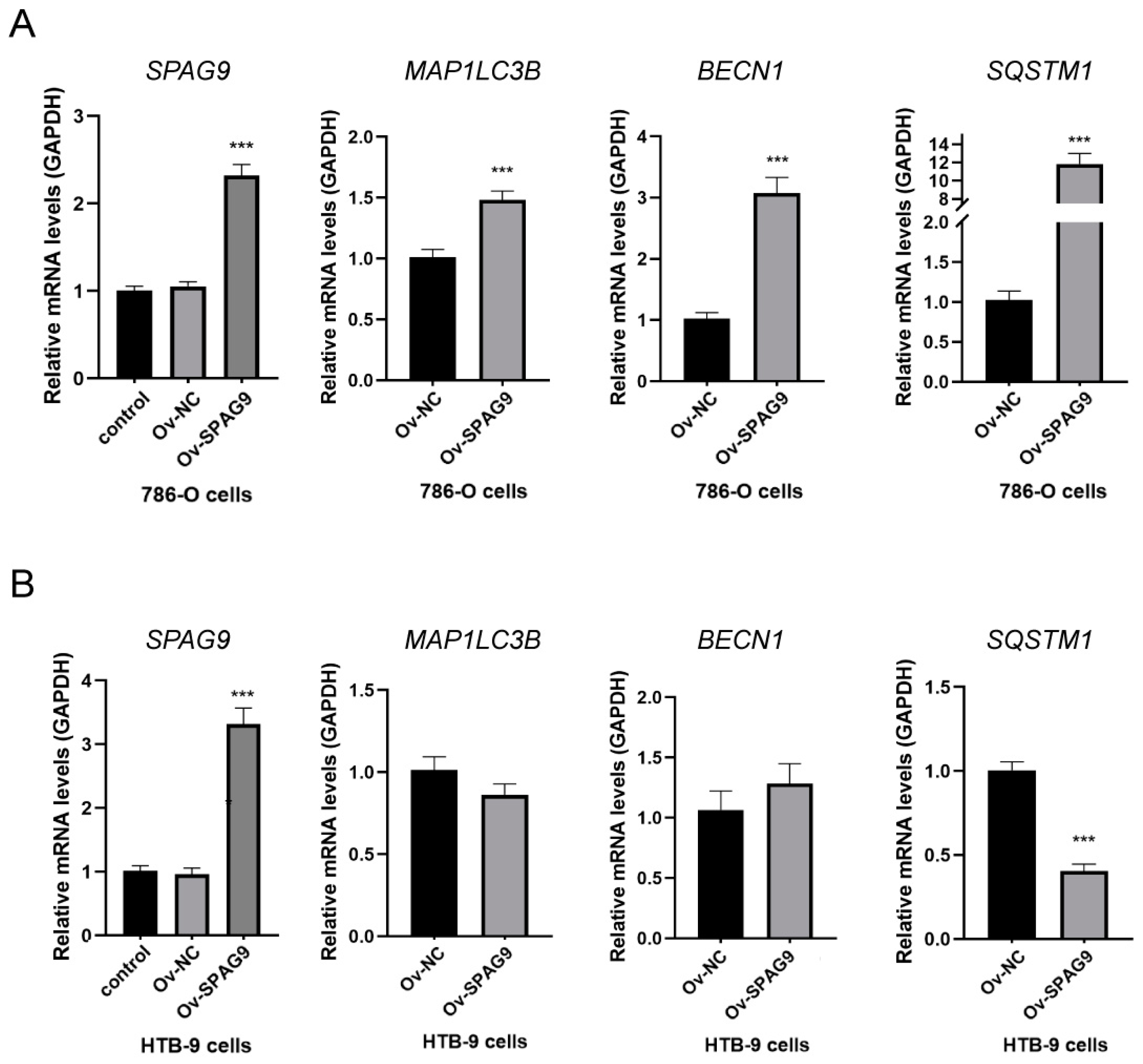 Genes 14 00944 g003 Genes 14 00944 g003
