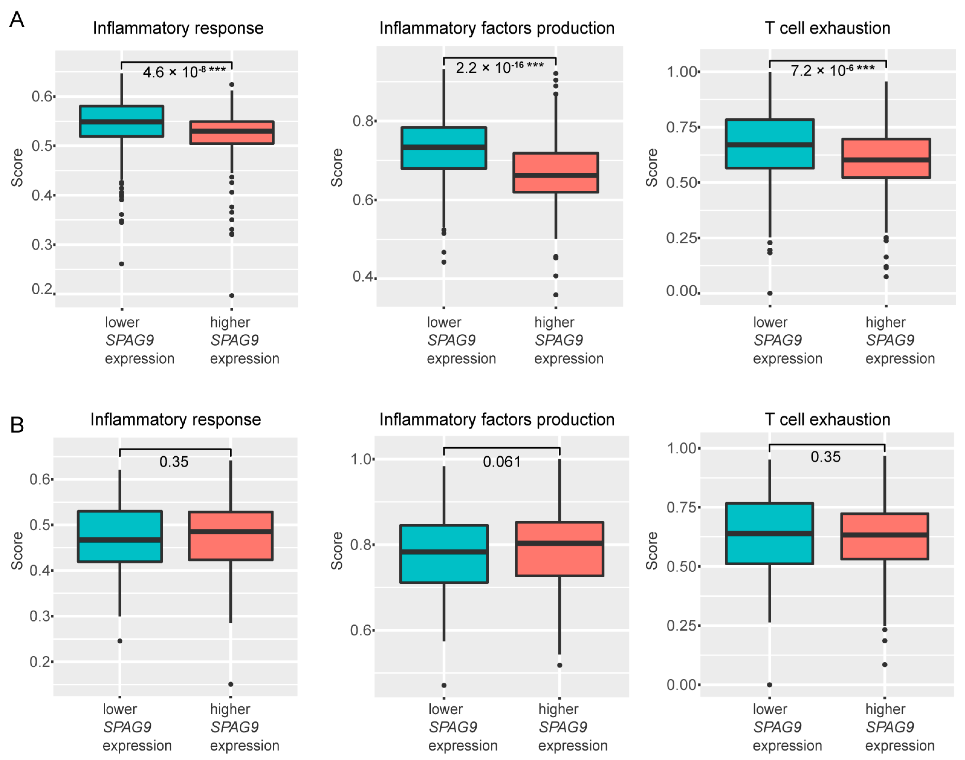 Genes 14 00944 g004 Genes 14 00944 g004