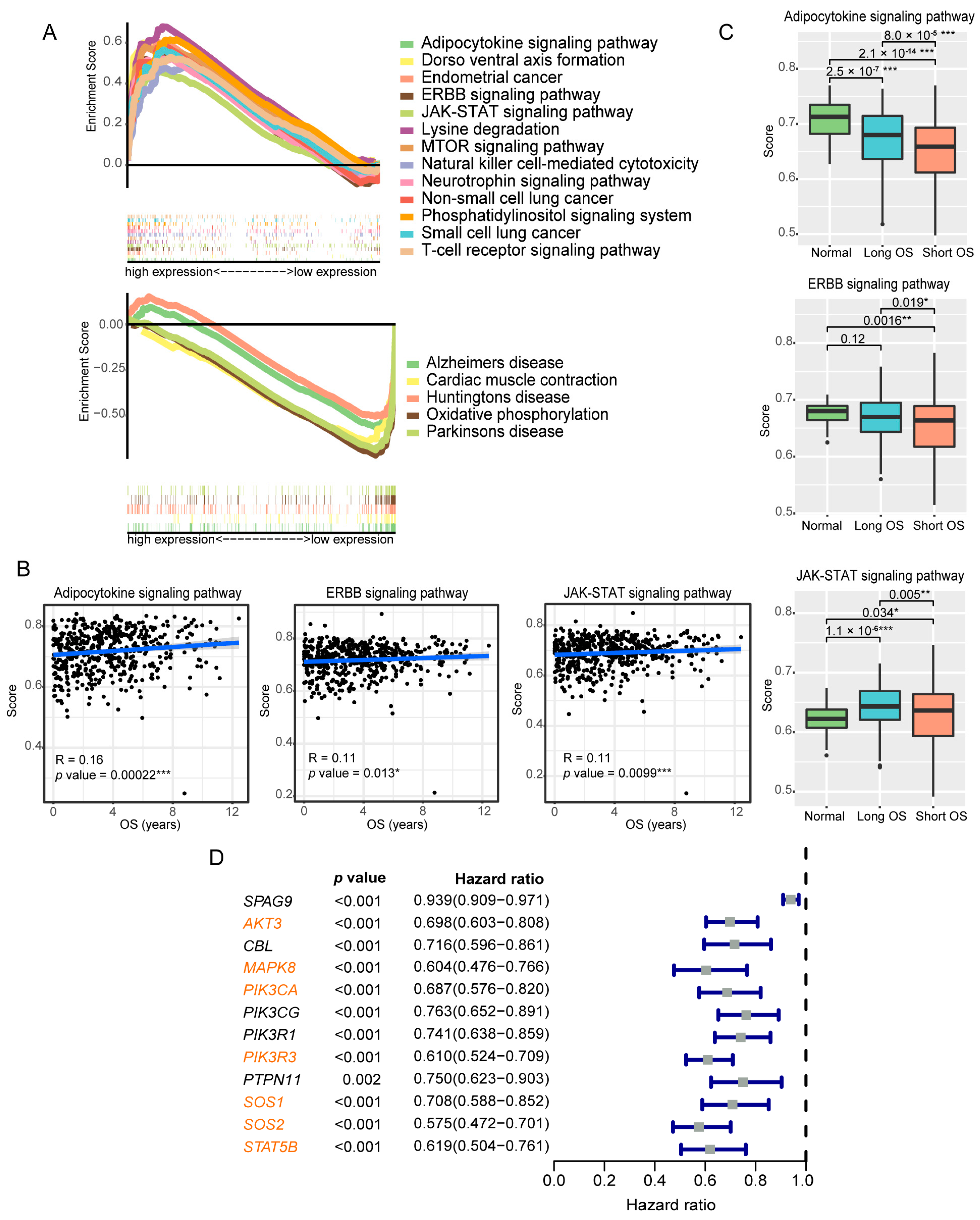 Genes 14 00944 g005 Genes 14 00944 g005