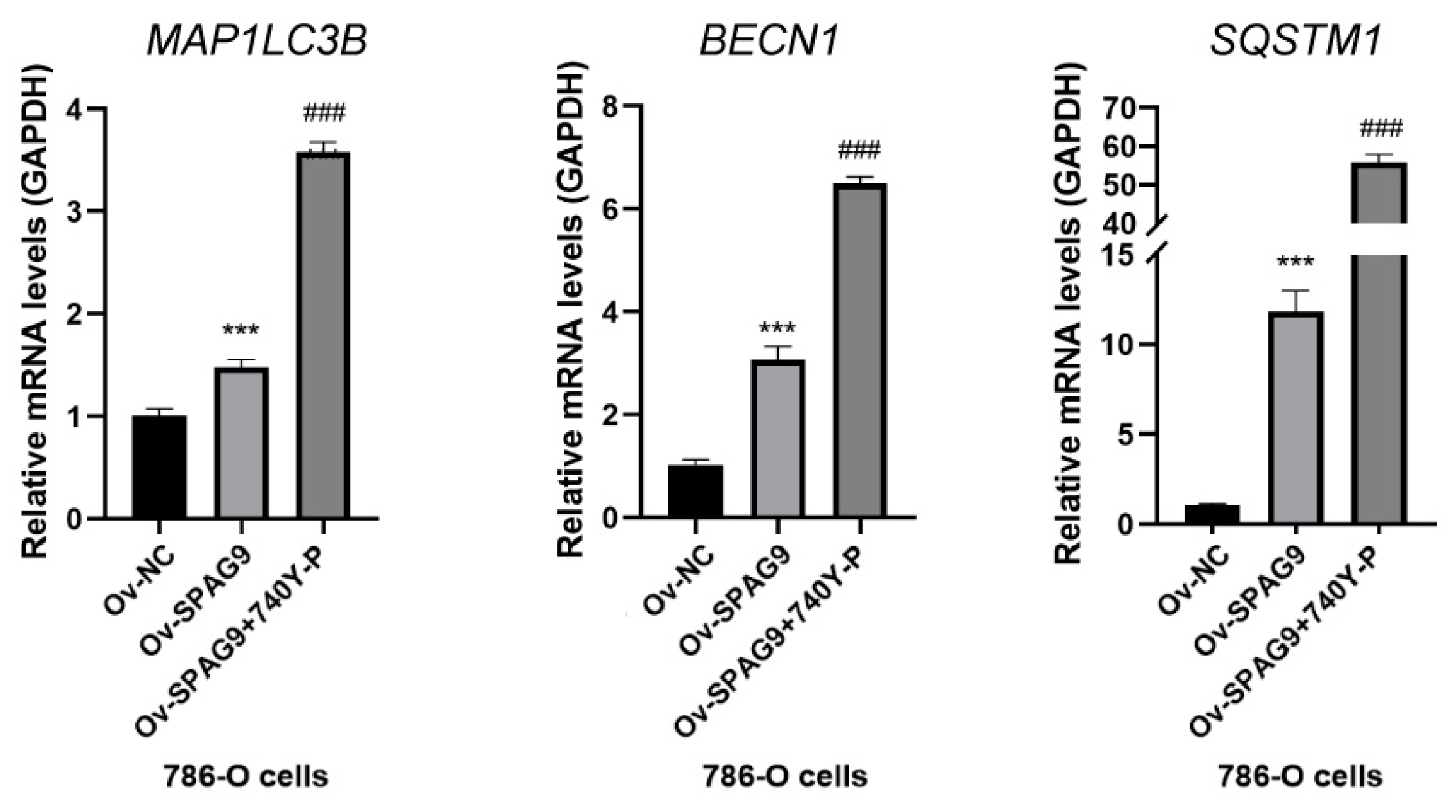 Genes 14 00944 g007 Genes 14 00944 g007
