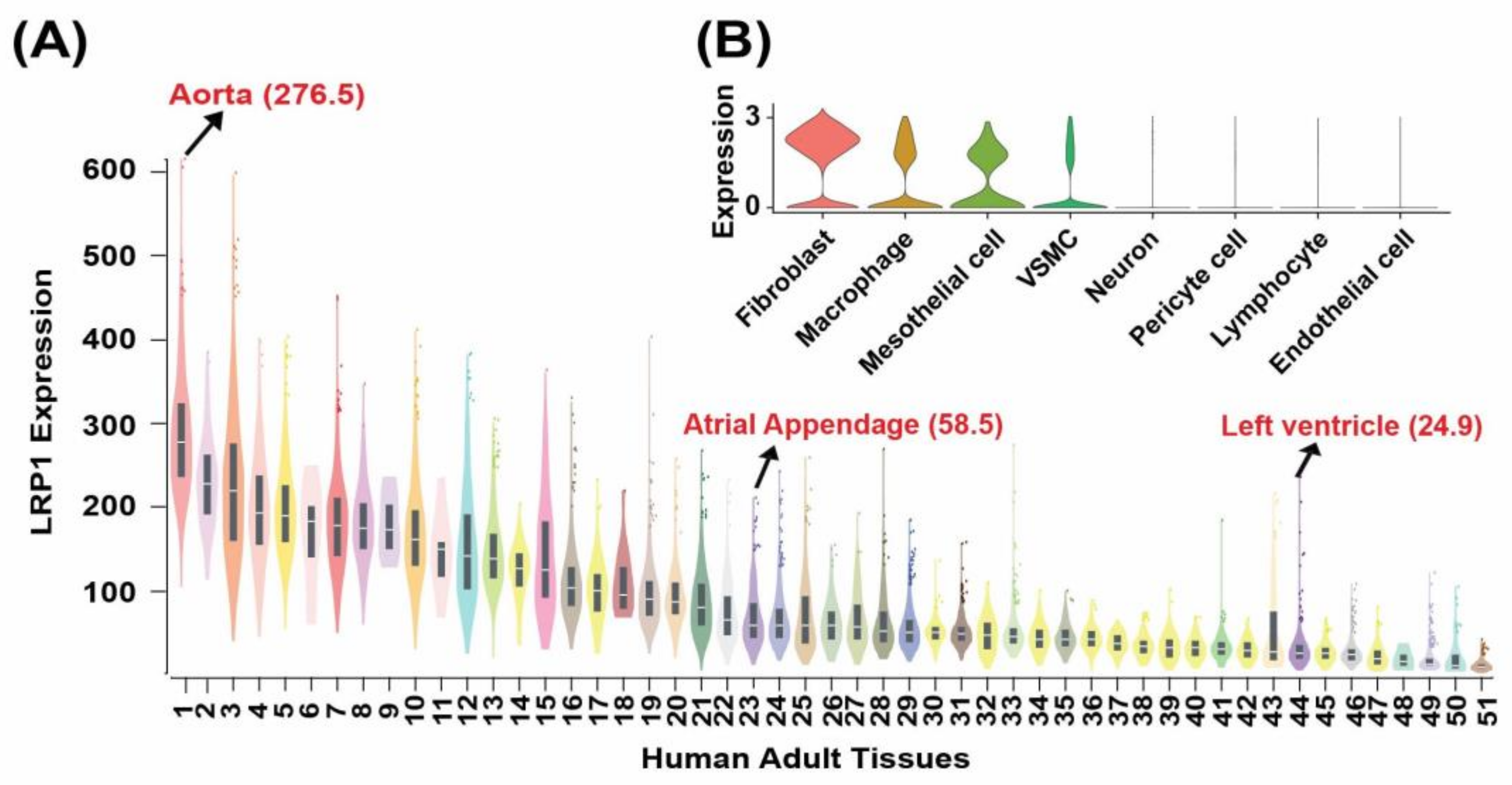 Genes 14 00947 g003