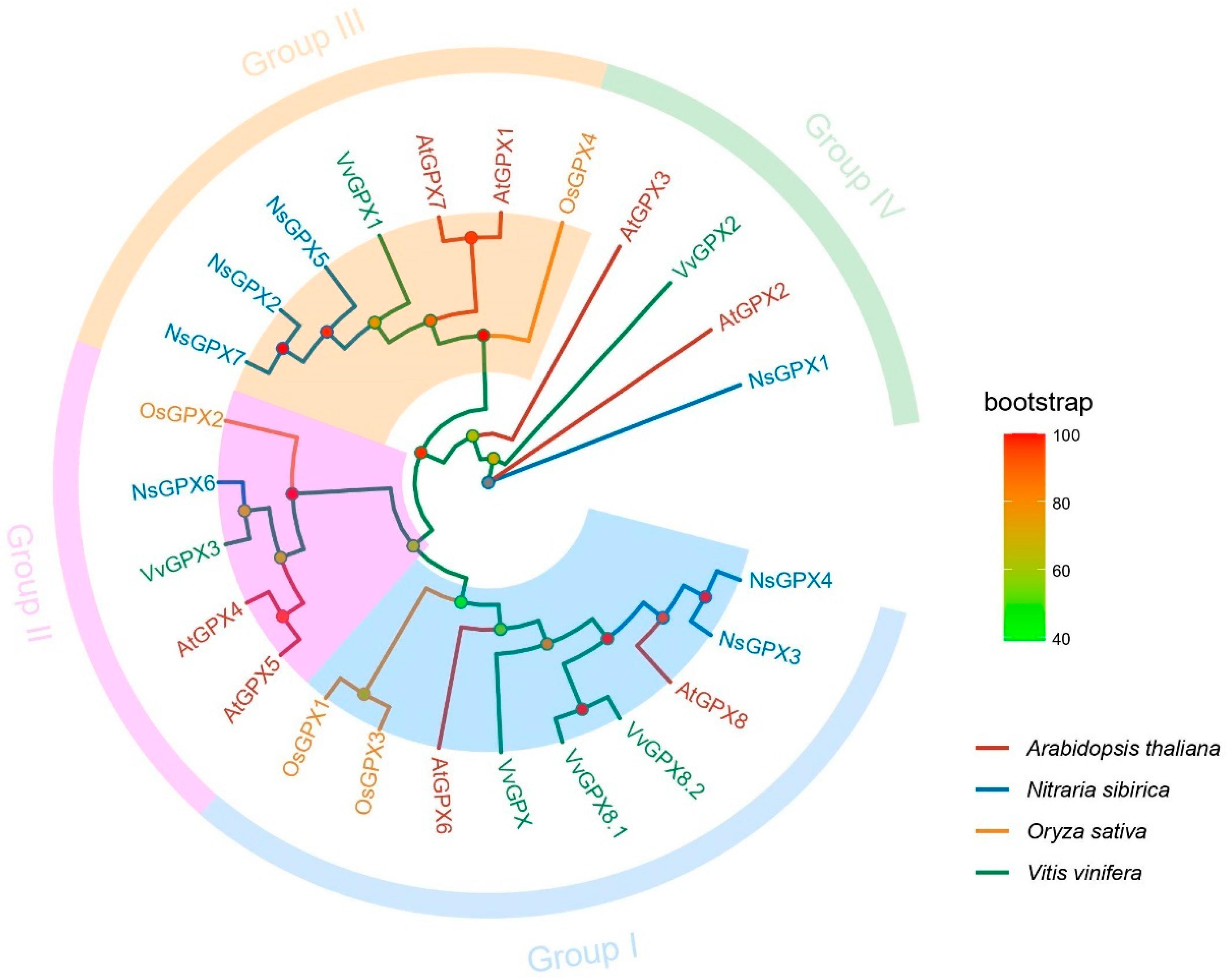 Genes 14 00950 g001
