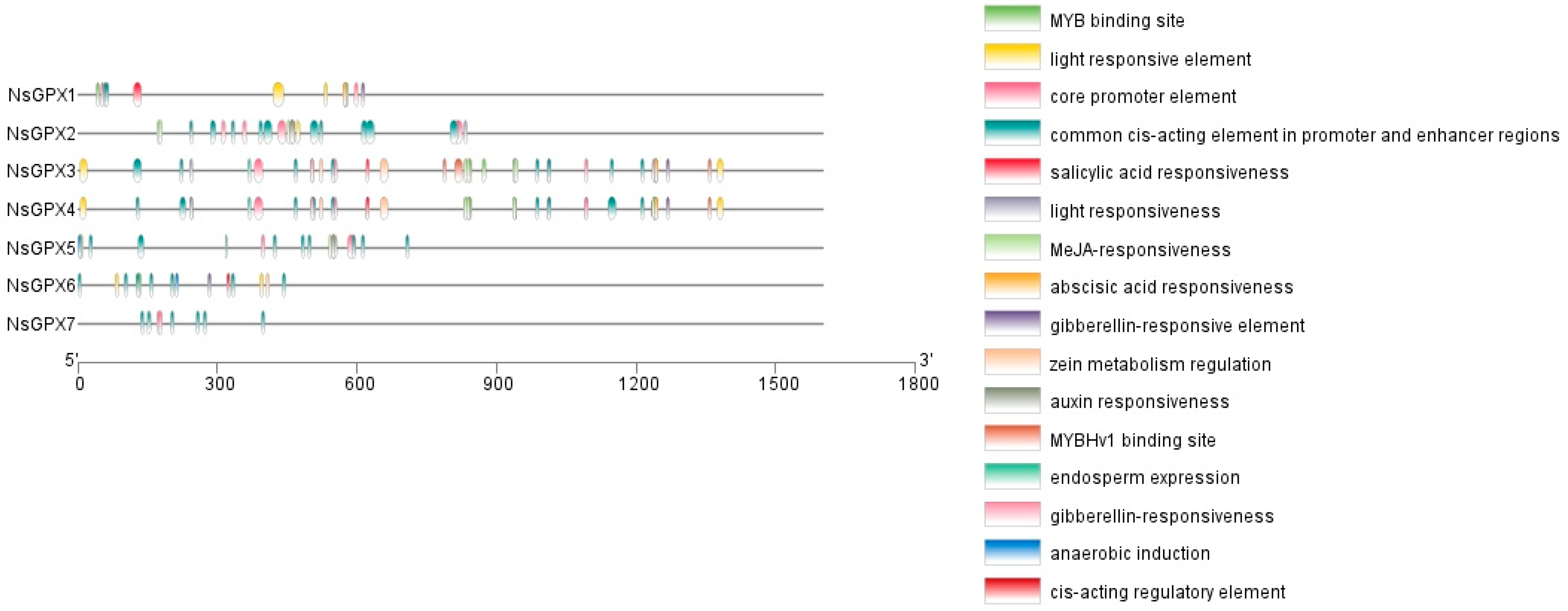 Genes 14 00950 g005