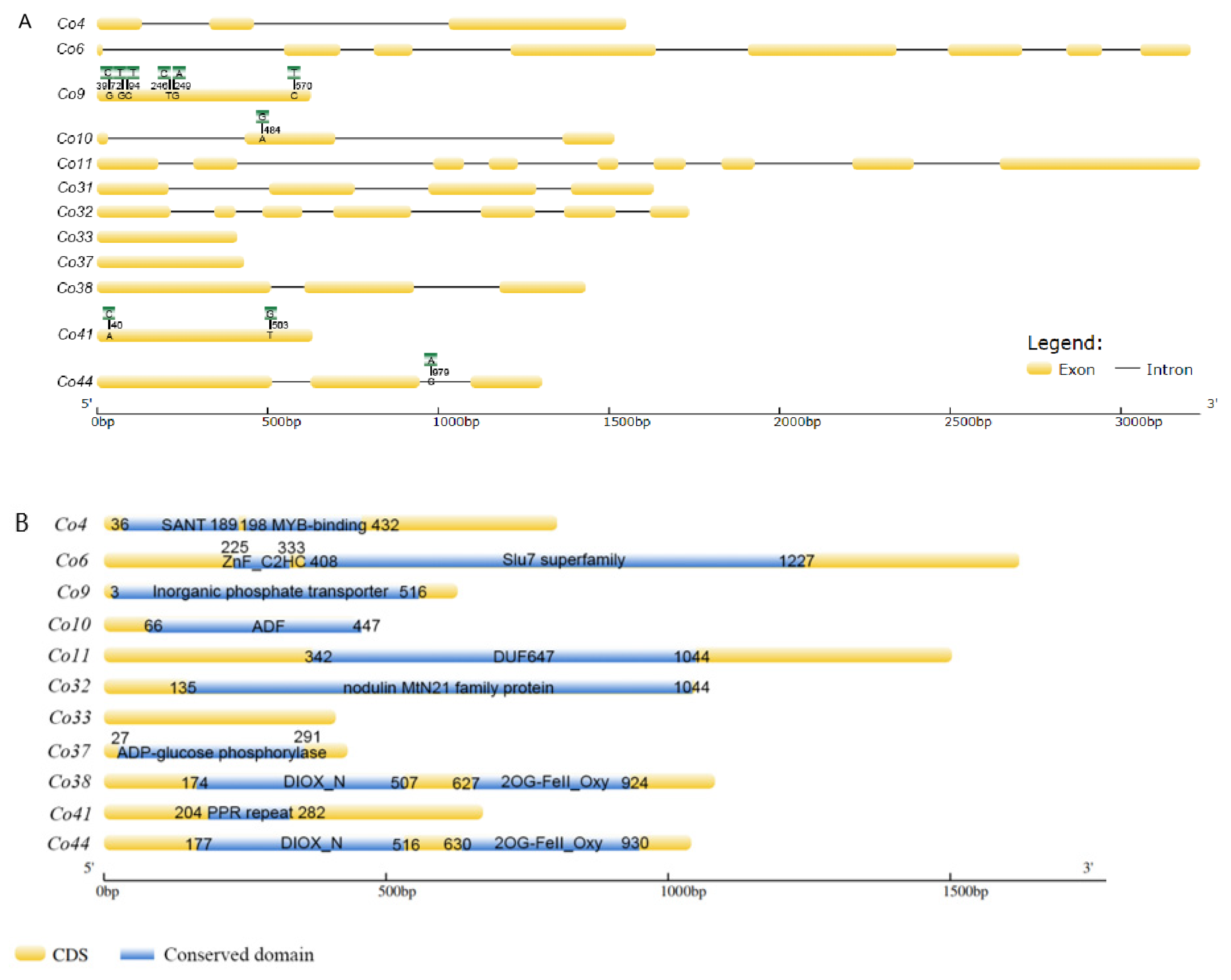 Genes 14 00964 g002