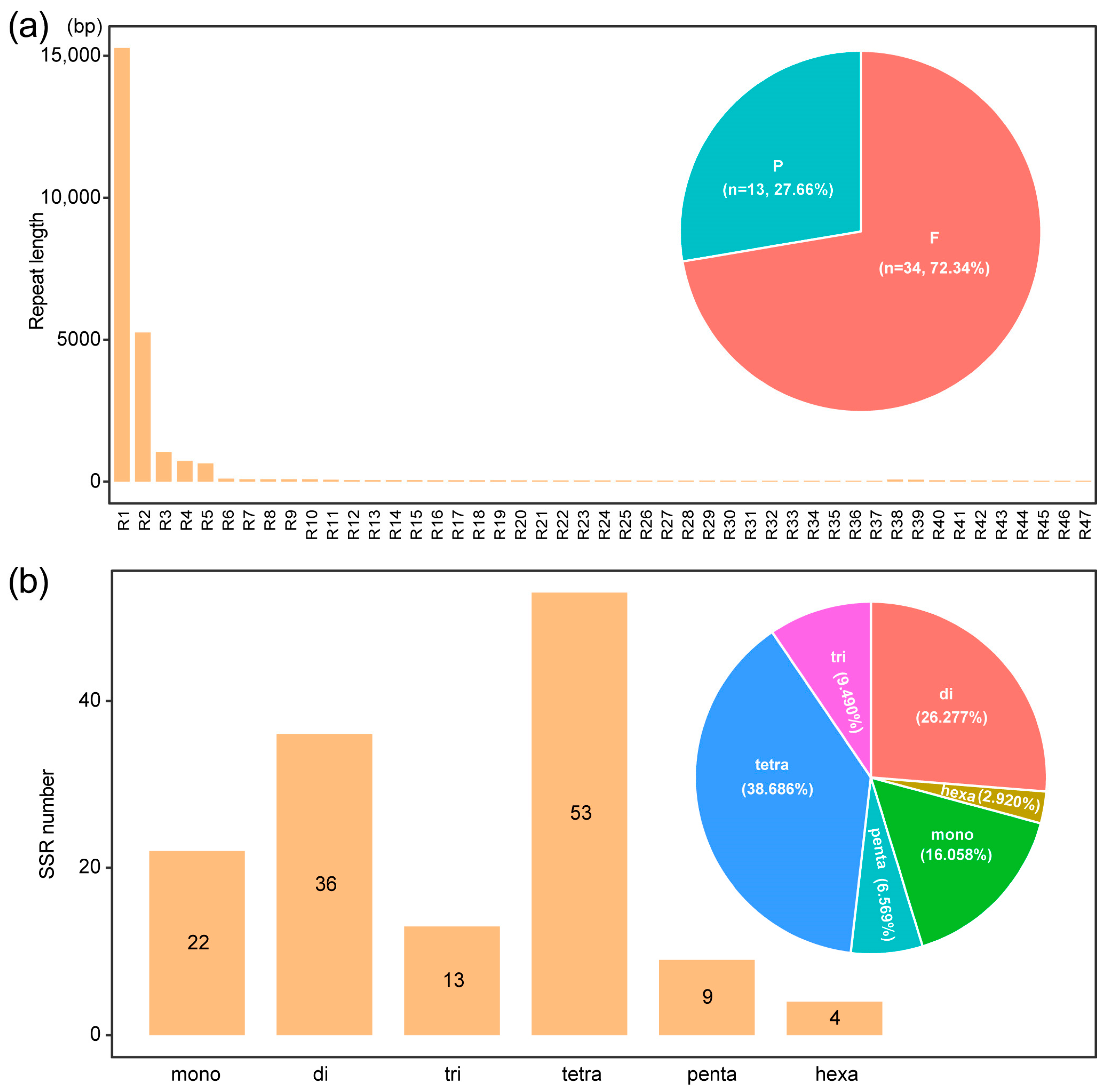 Genes 14 00979 g002 Genes 14 00979 g002
