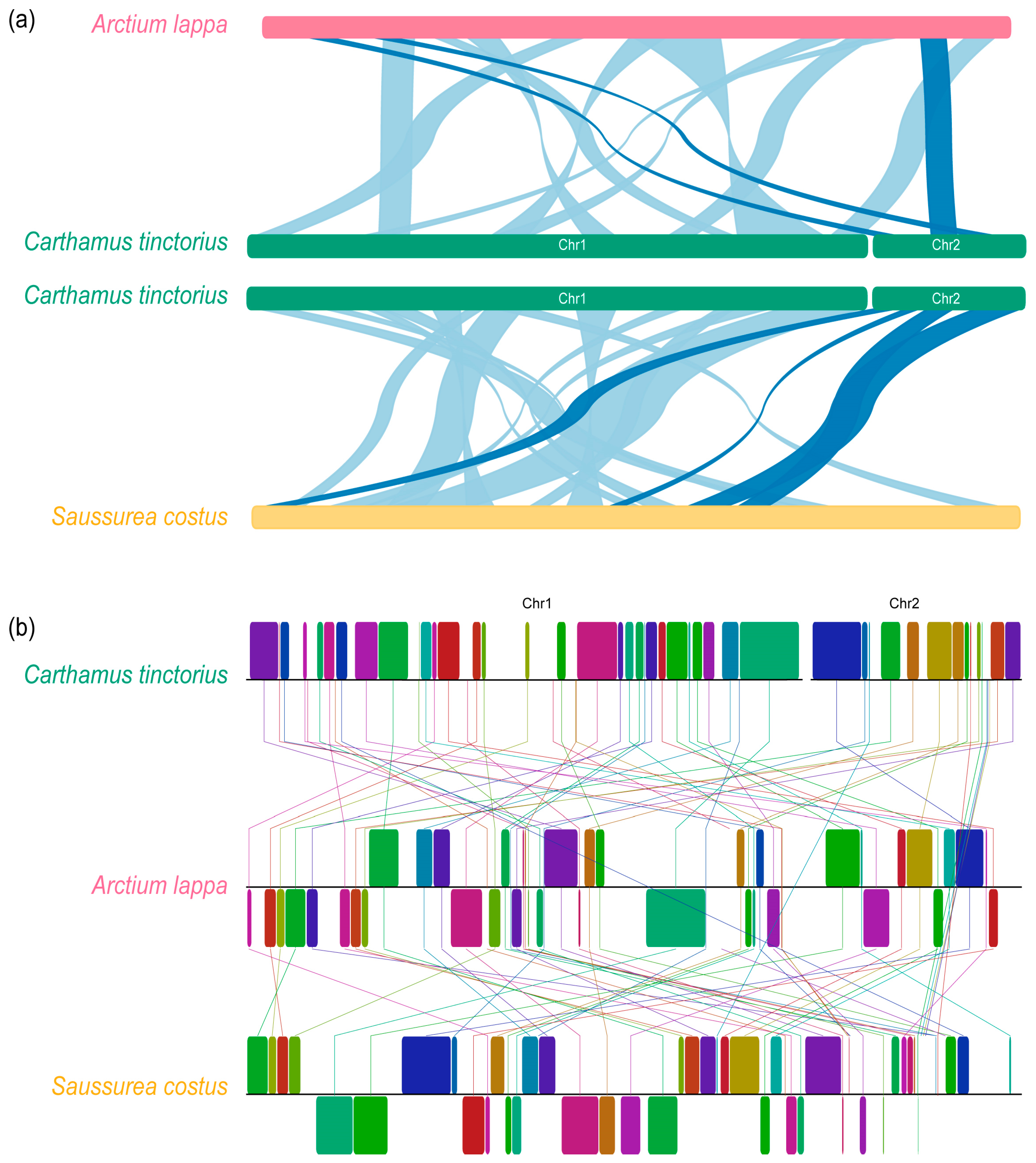Genes 14 00979 g003 Genes 14 00979 g003