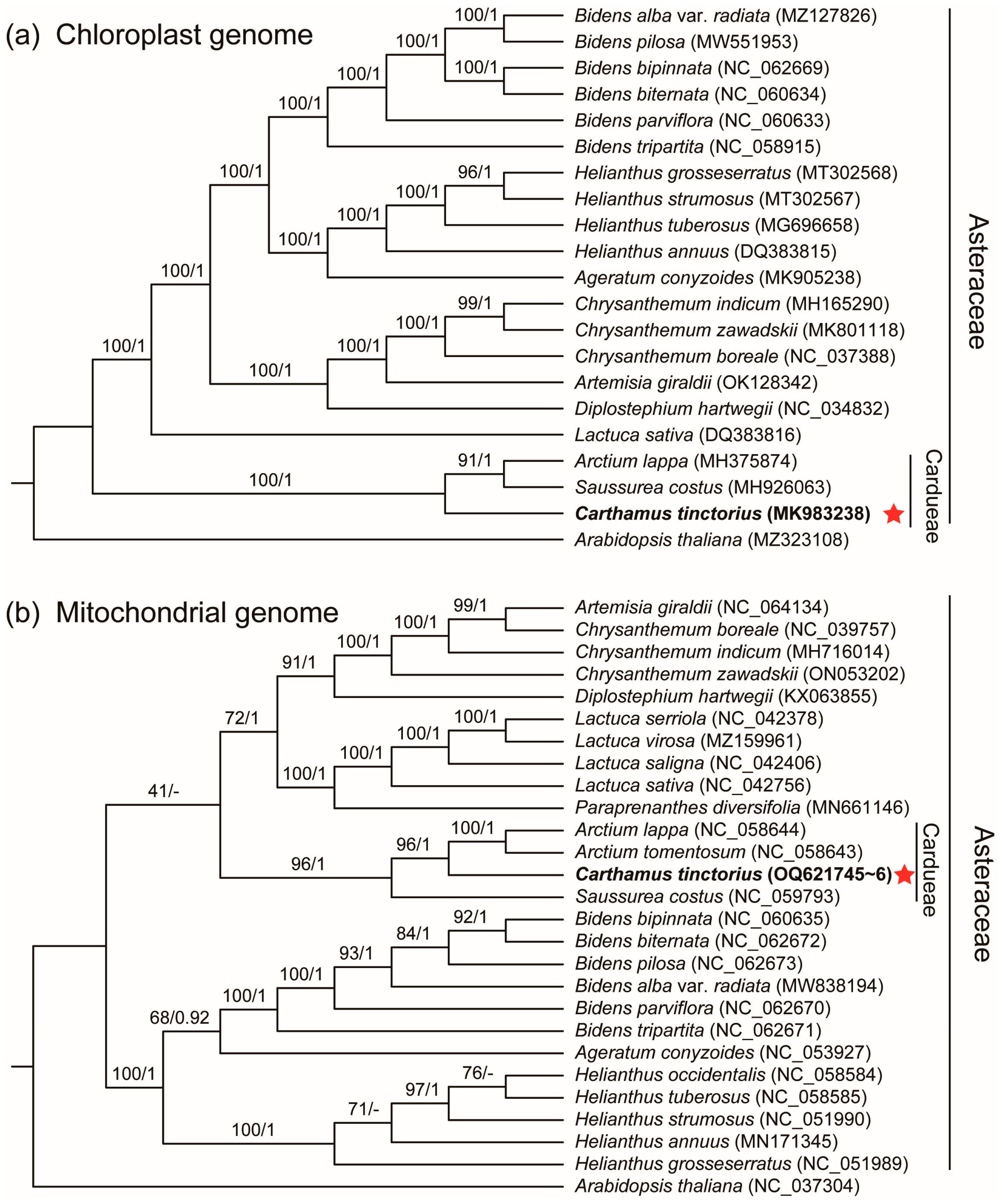 Genes 14 00979 g006 Genes 14 00979 g006