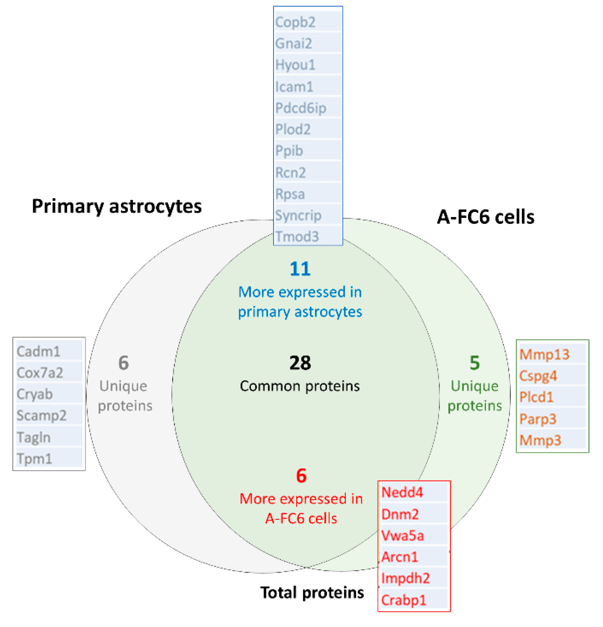 Genes 14 00990 g003
