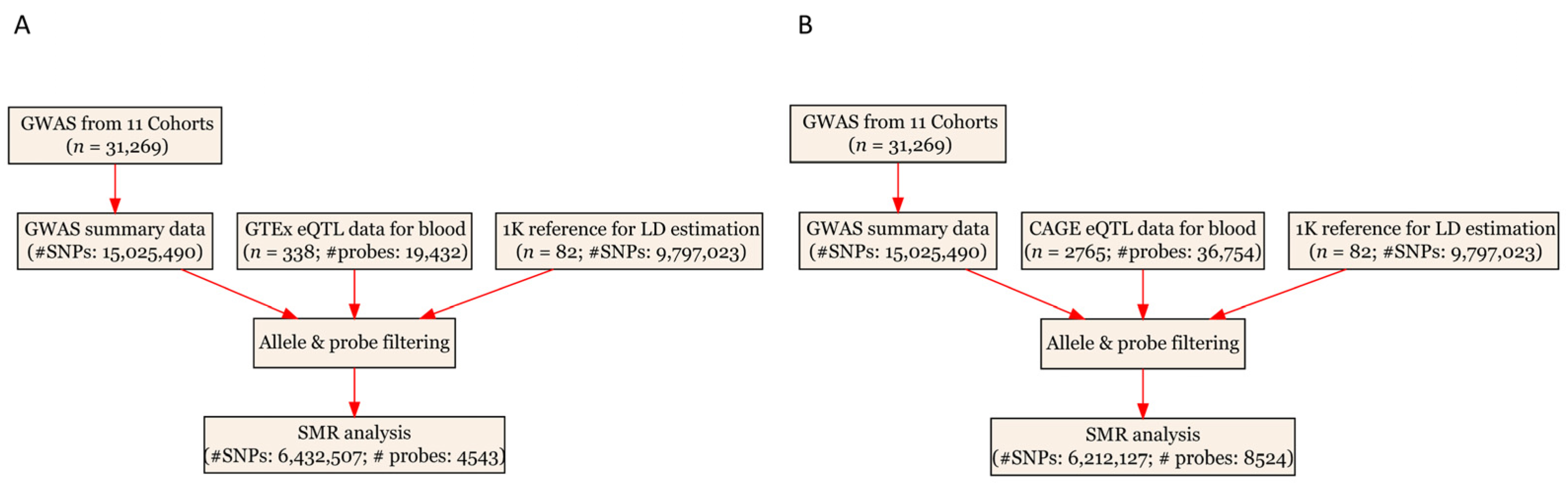 Genes 14 01027 g001 Genes 14 01027 g001