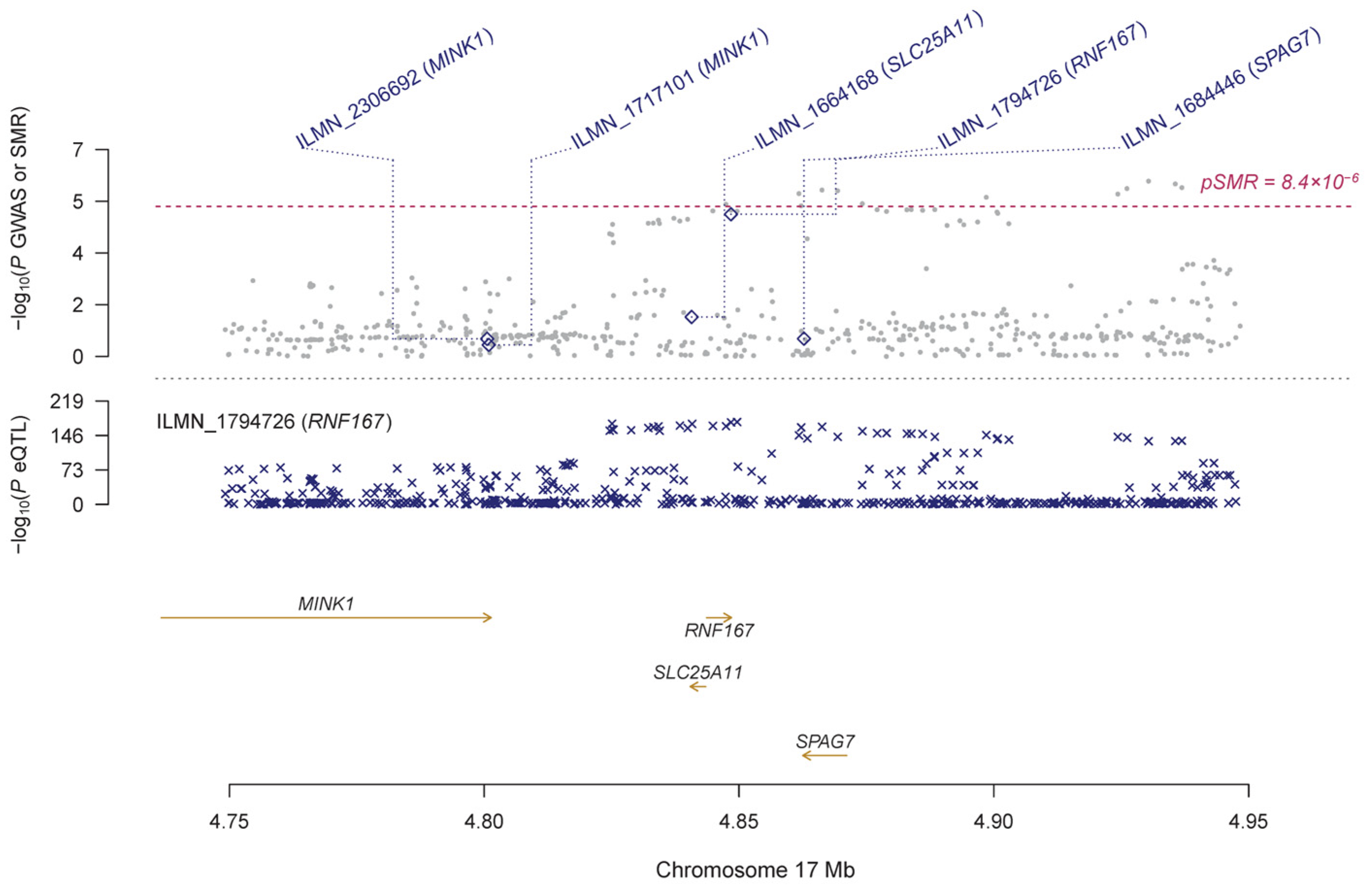Genes 14 01027 g005 Genes 14 01027 g005