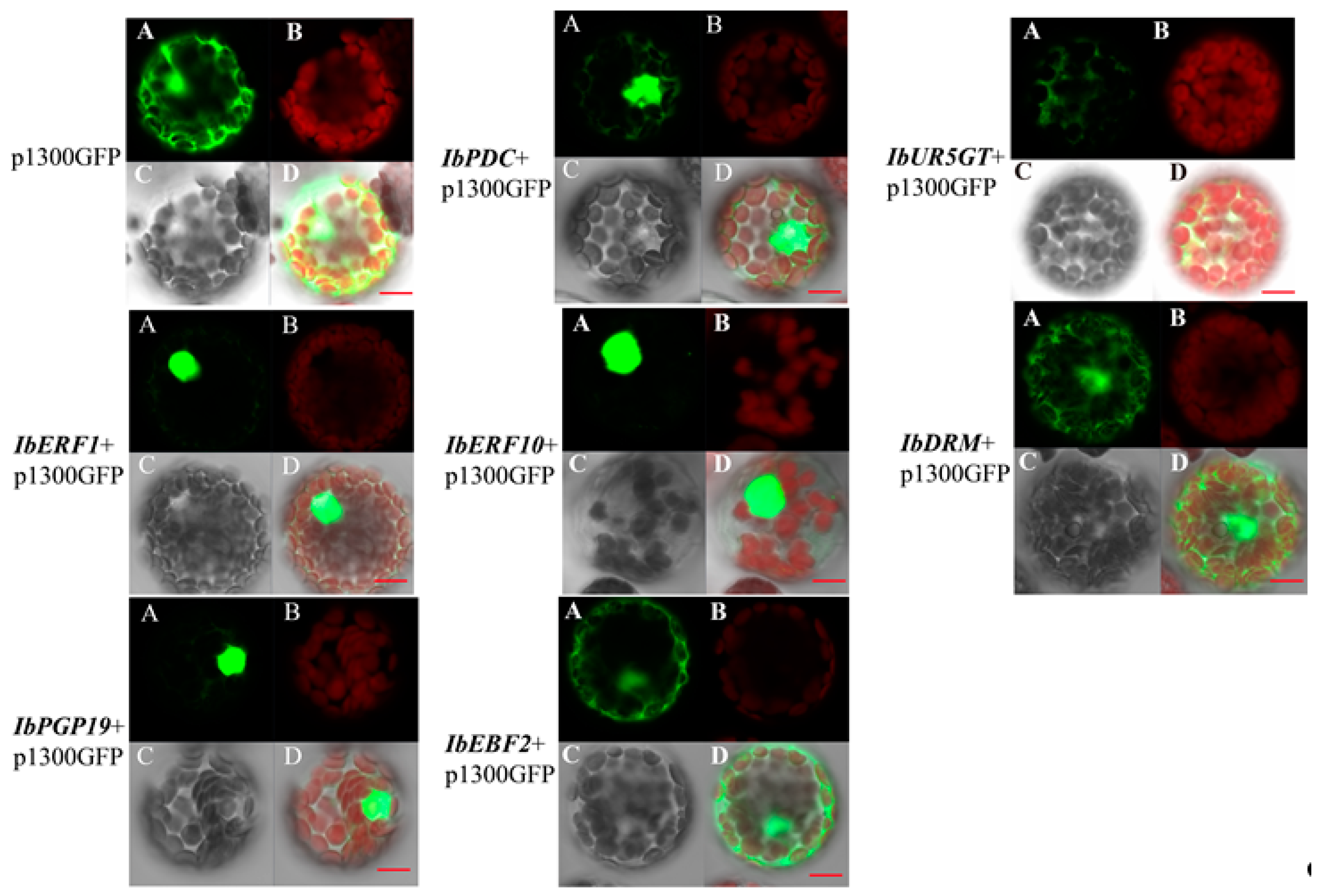 Genes 14 01042 g004
