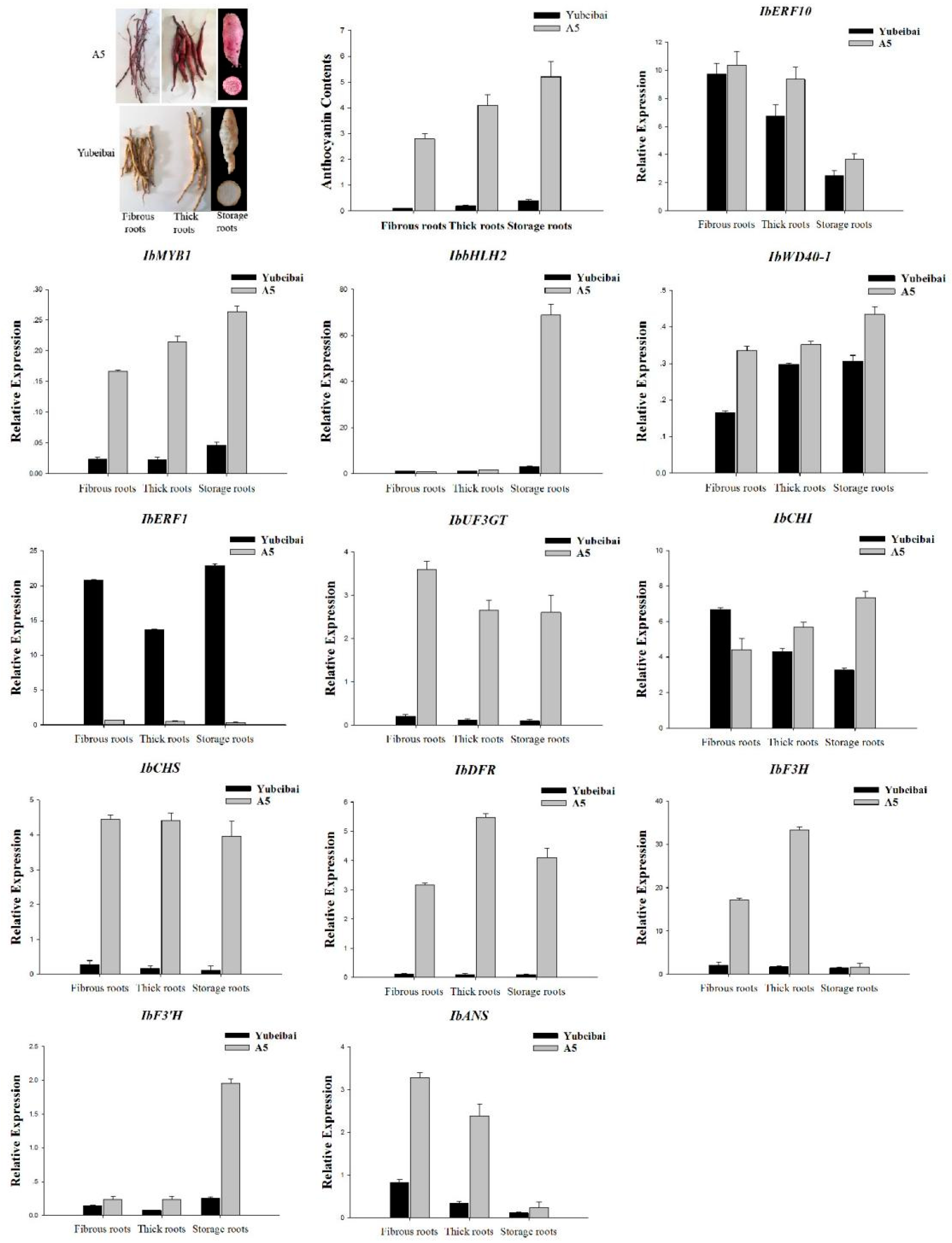 Genes 14 01042 g005