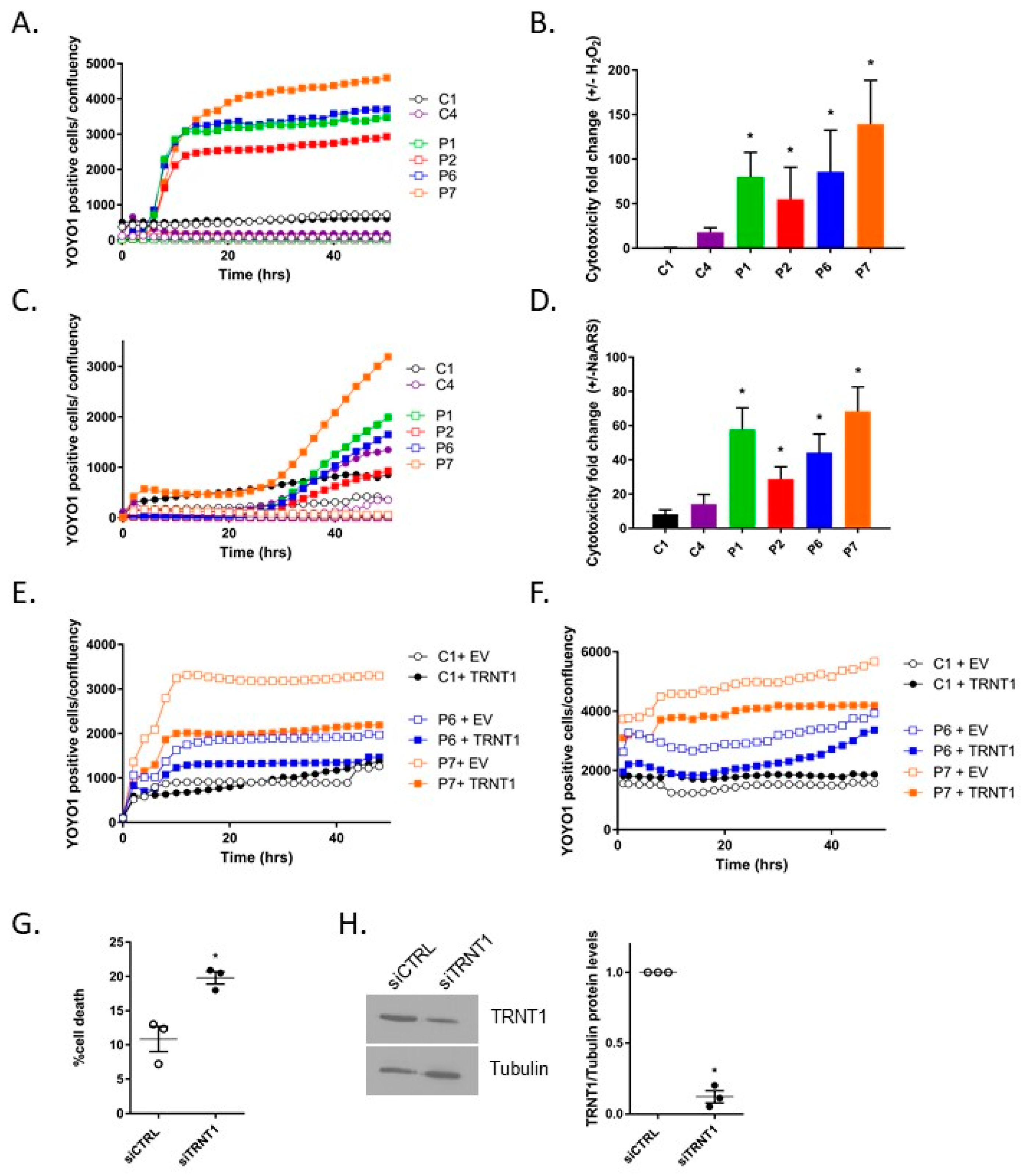Genes 14 01043 g001 Genes 14 01043 g001