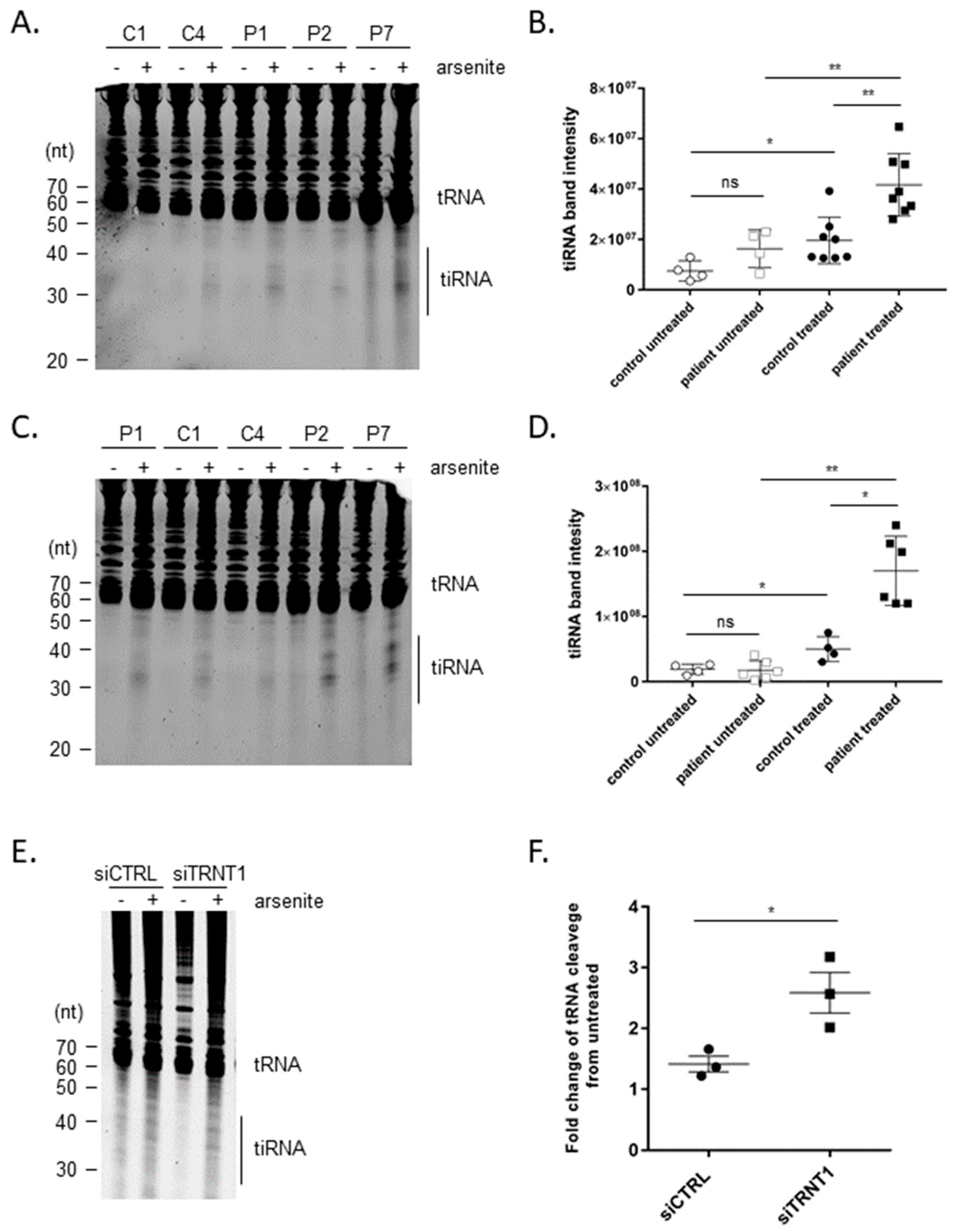 Genes 14 01043 g002 Genes 14 01043 g002