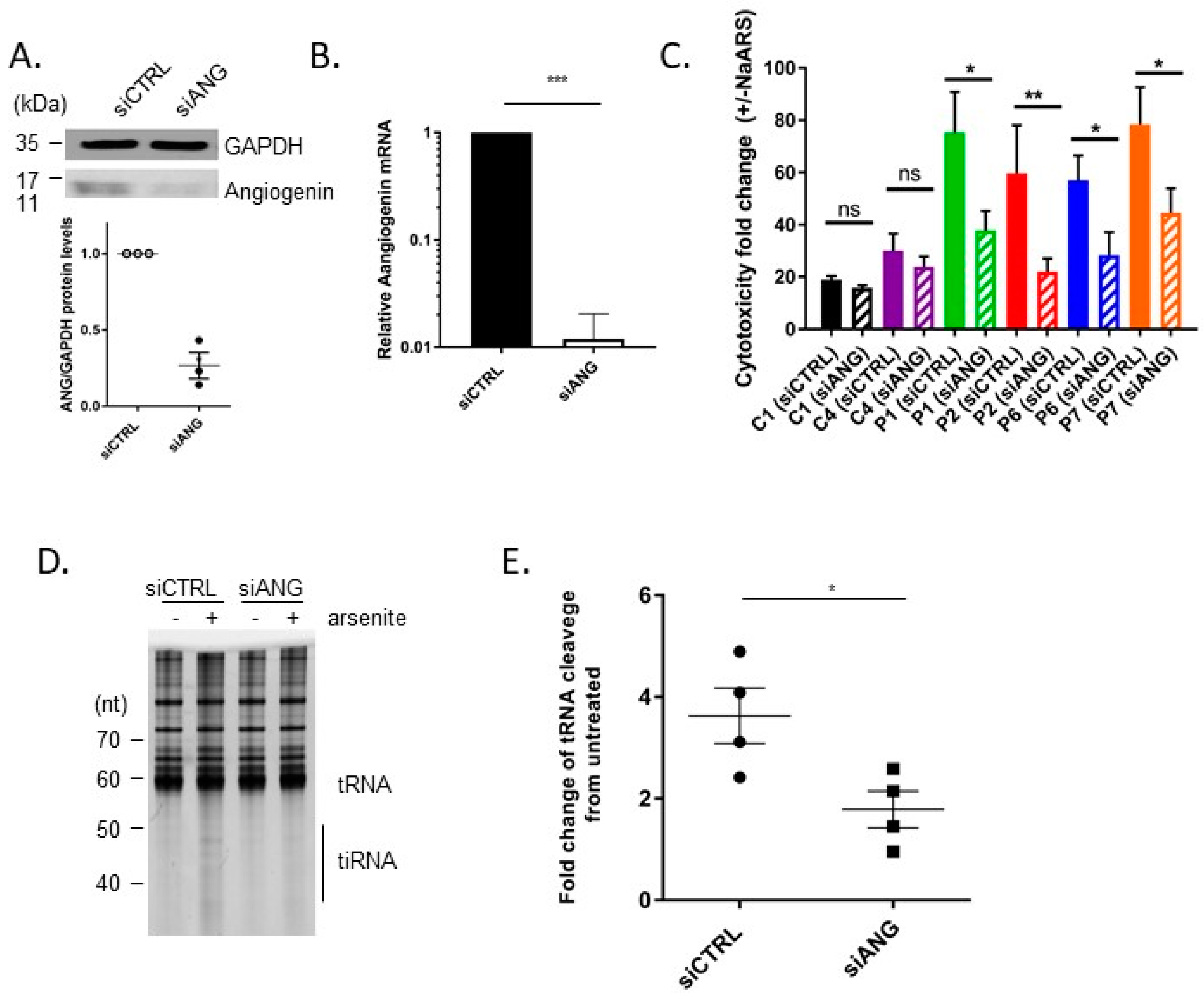Genes 14 01043 g003 Genes 14 01043 g003