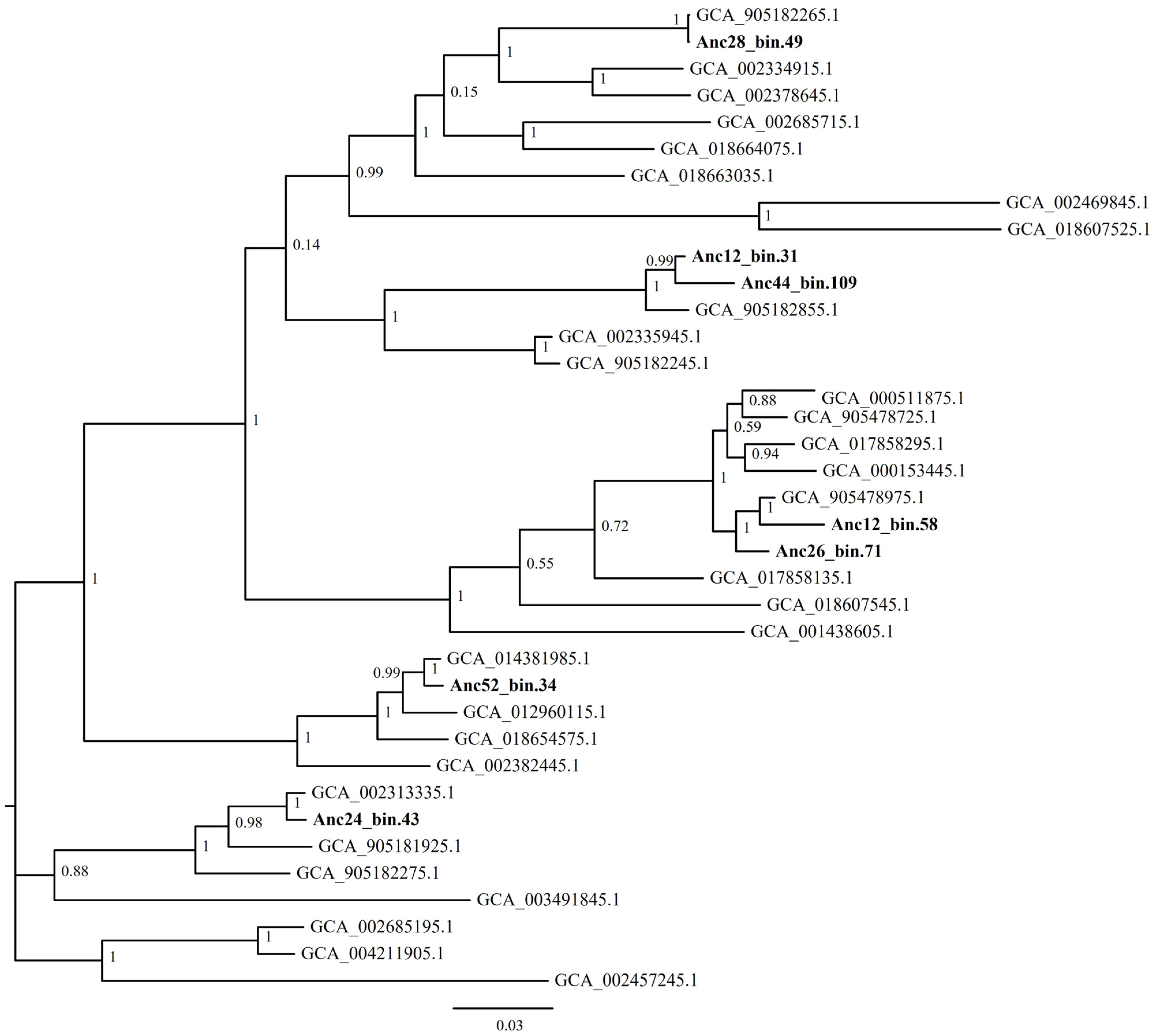 Genes 14 01051 g007 Genes 14 01051 g007