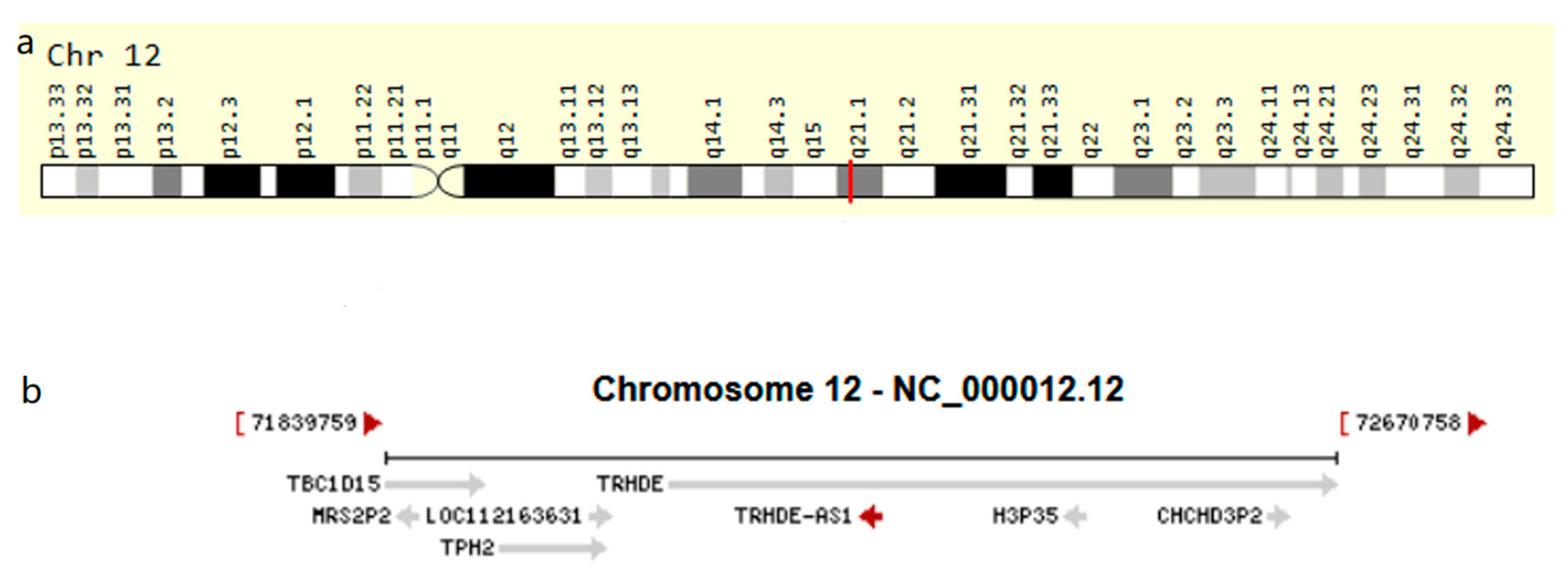 Genes 14 01052 g001 Genes 14 01052 g001
