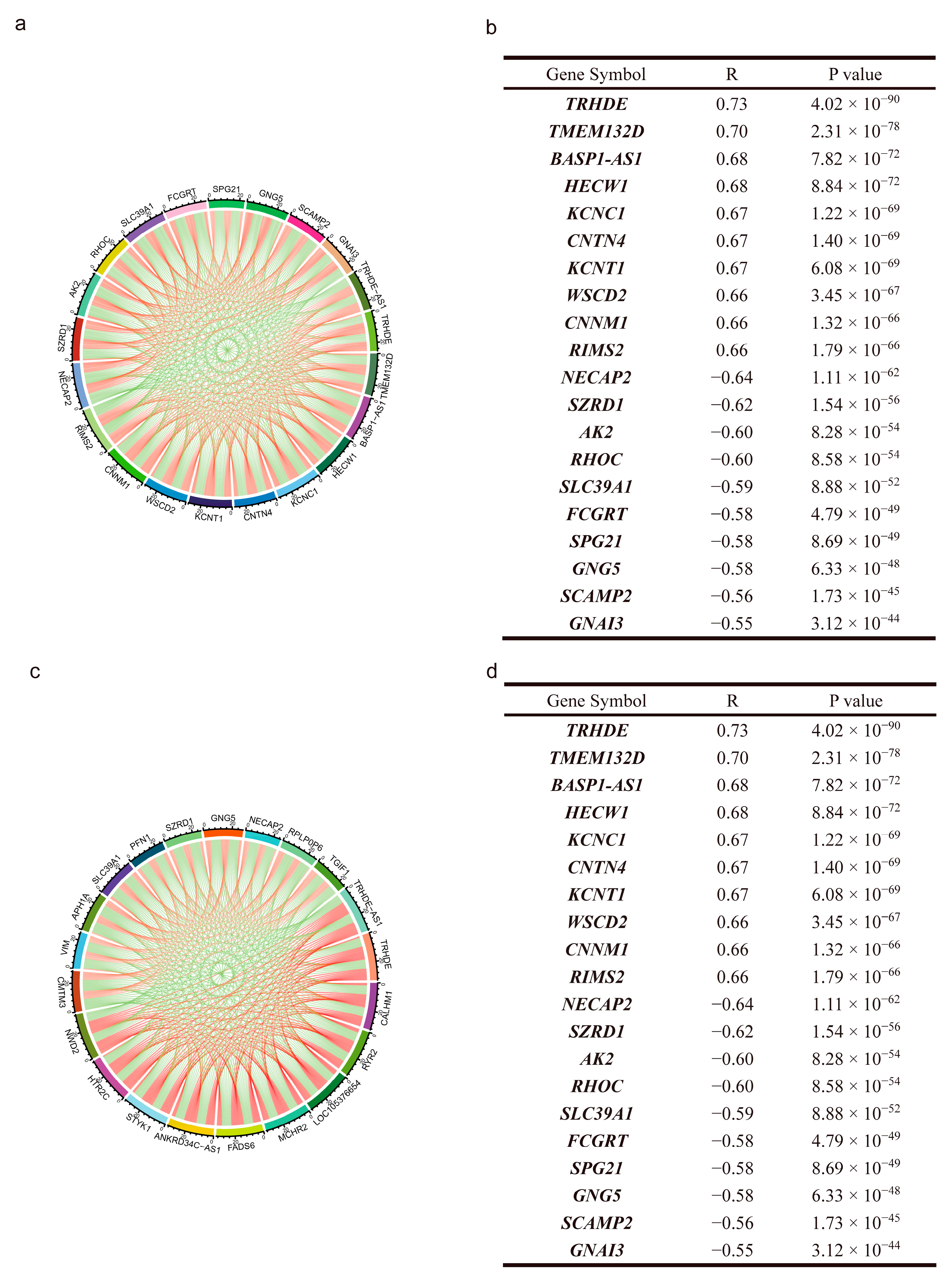 Genes 14 01052 g004 Genes 14 01052 g004
