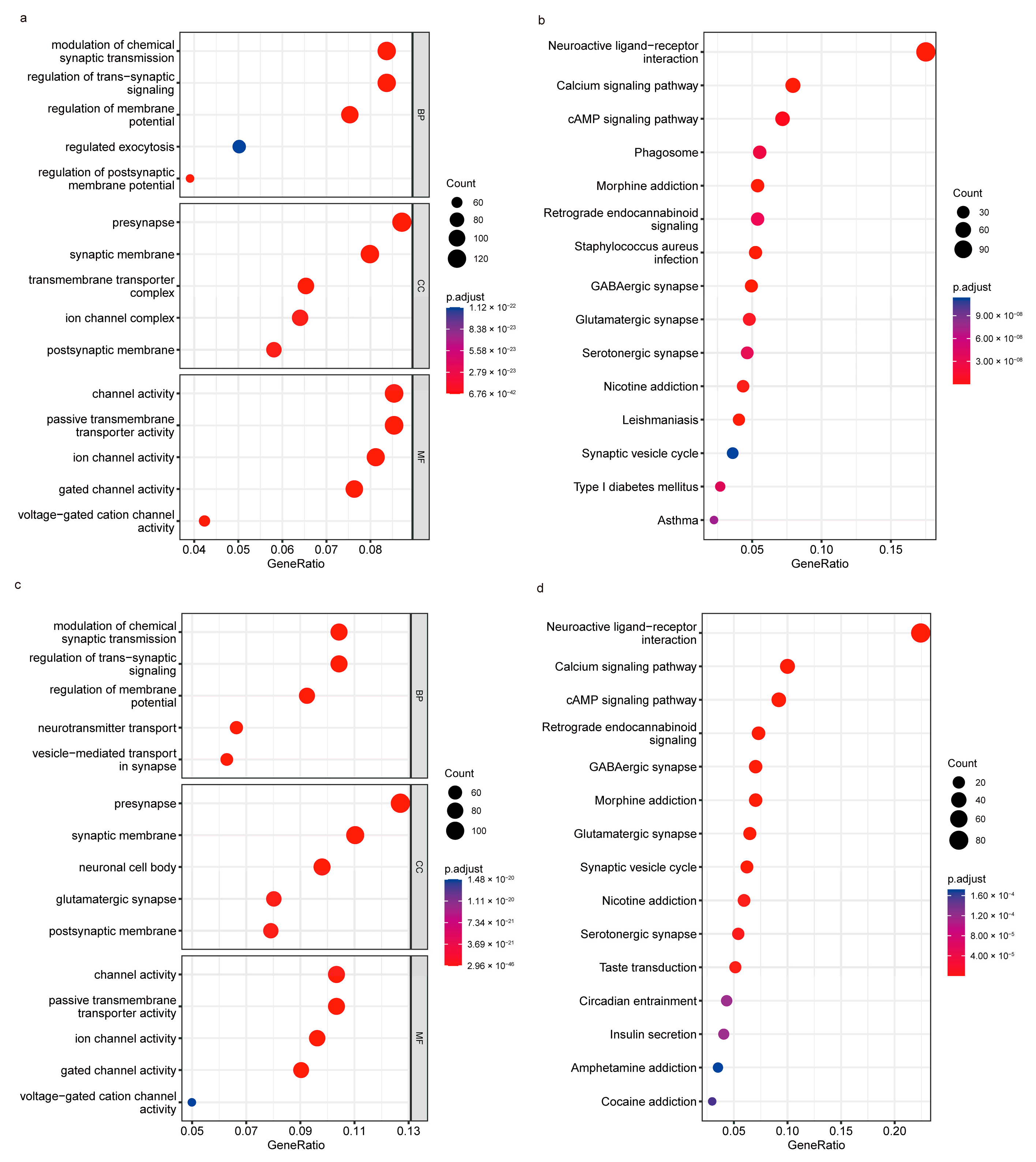 Genes 14 01052 g005 Genes 14 01052 g005