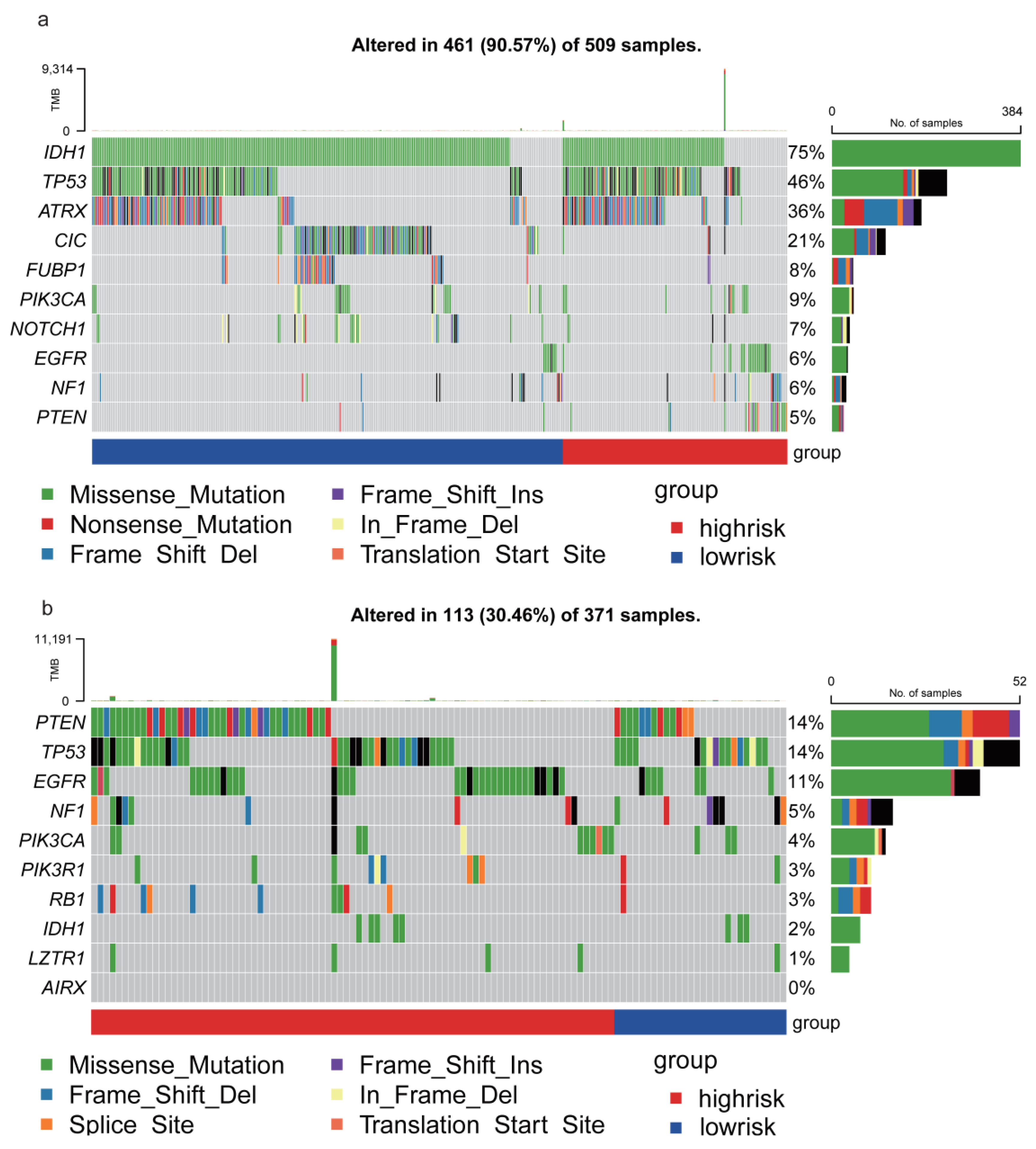 Genes 14 01052 g007 Genes 14 01052 g007