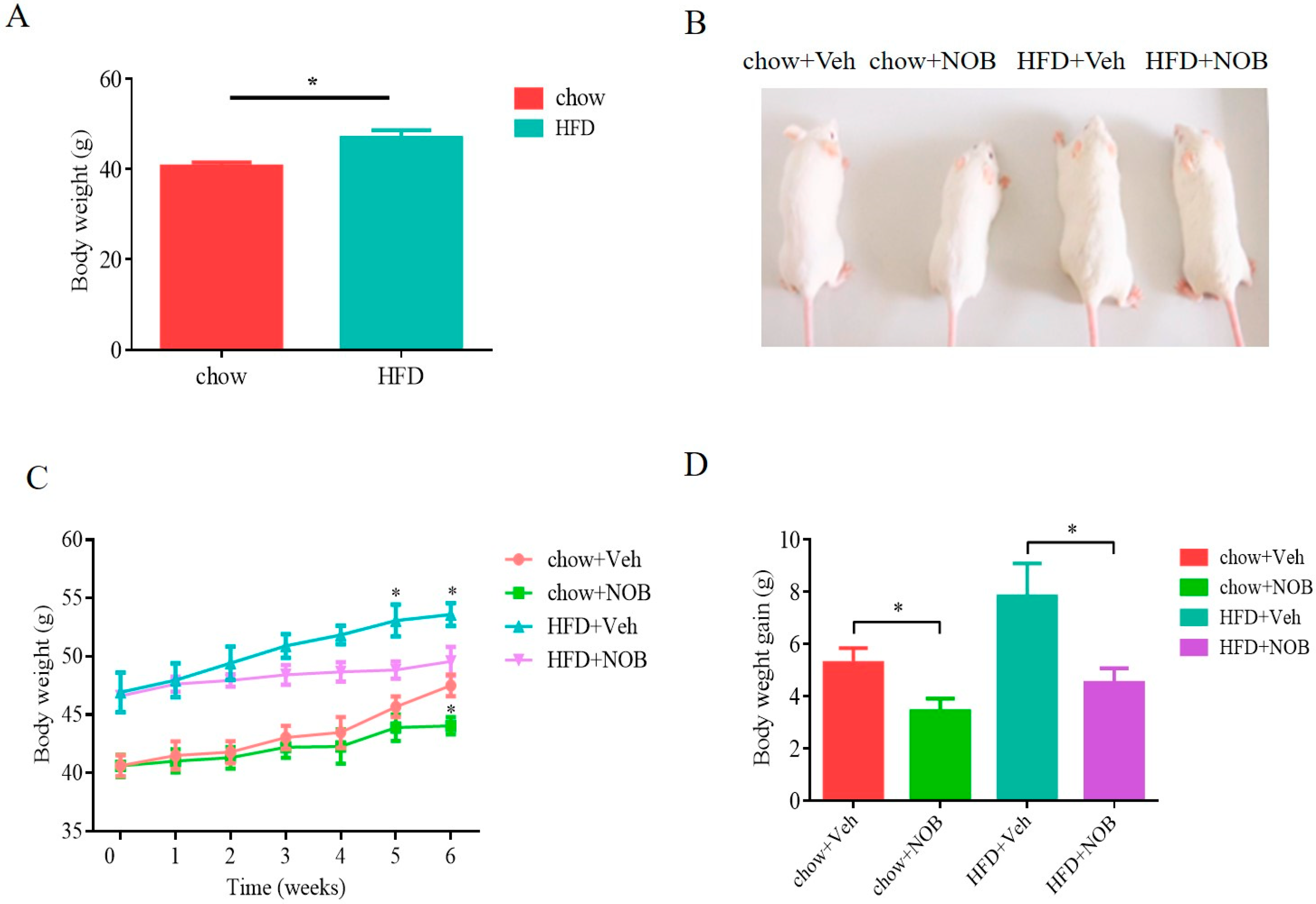 Genes 14 01062 g001 Genes 14 01062 g001