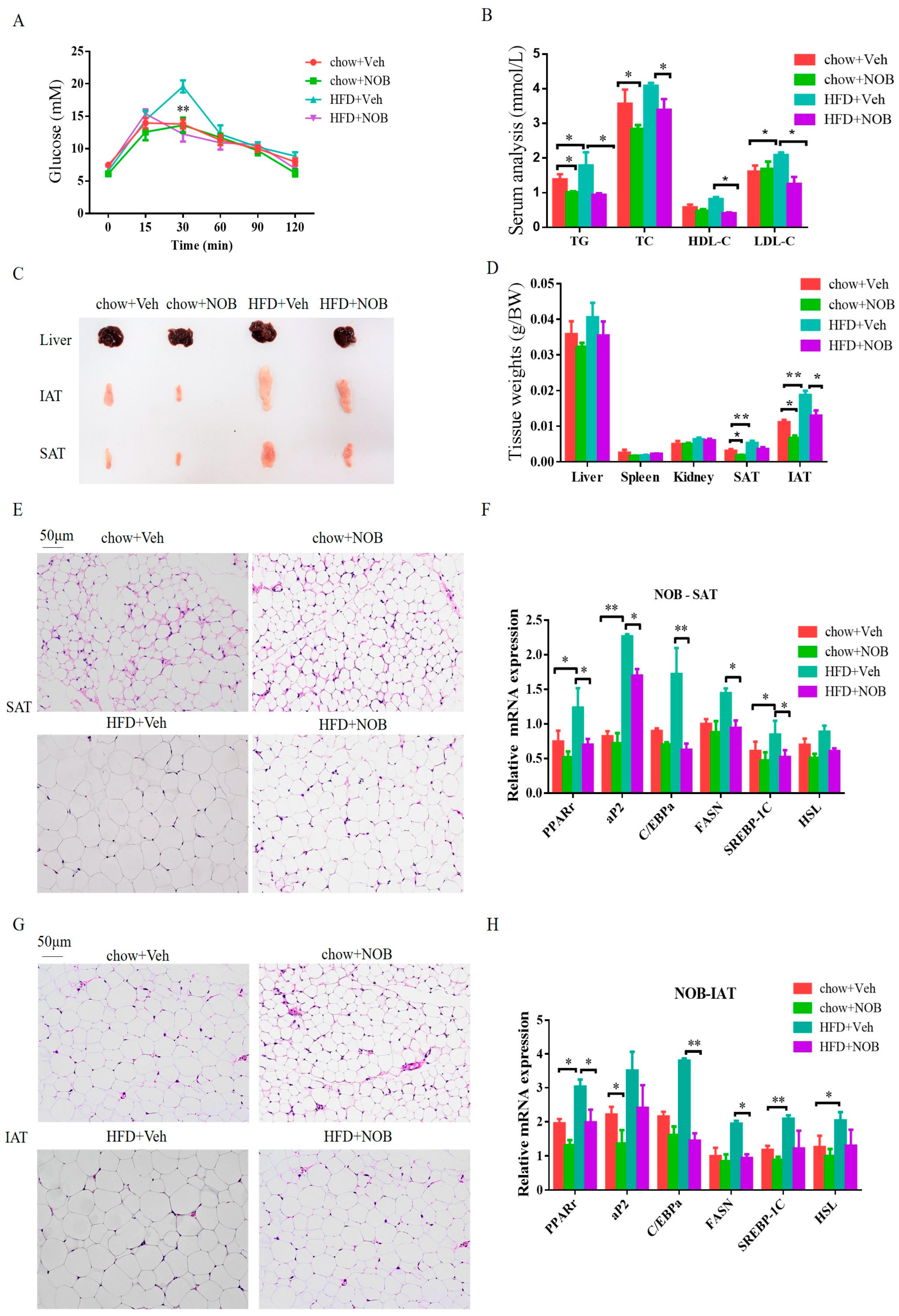 Genes 14 01062 g002 Genes 14 01062 g002
