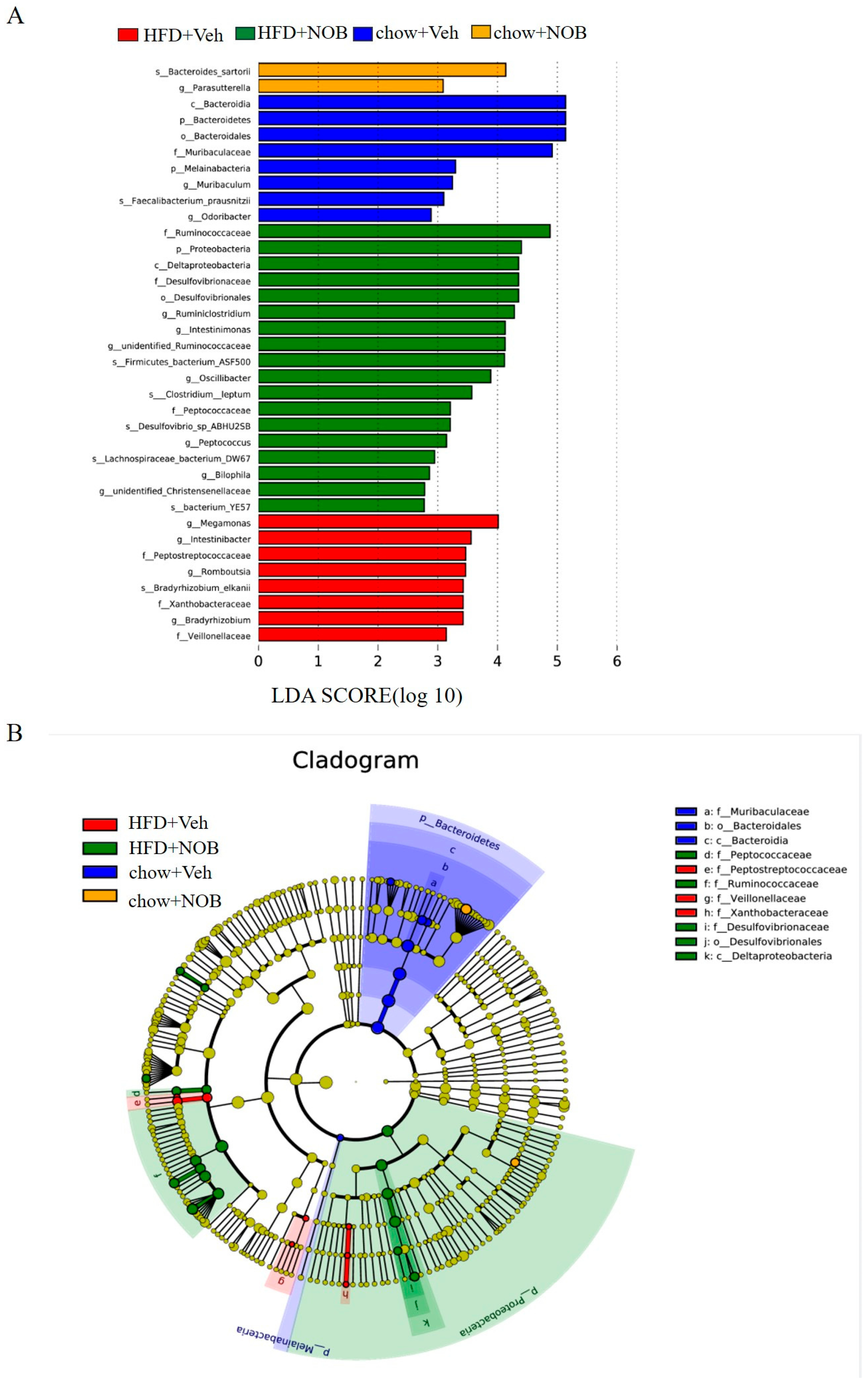 Genes 14 01062 g005 Genes 14 01062 g005