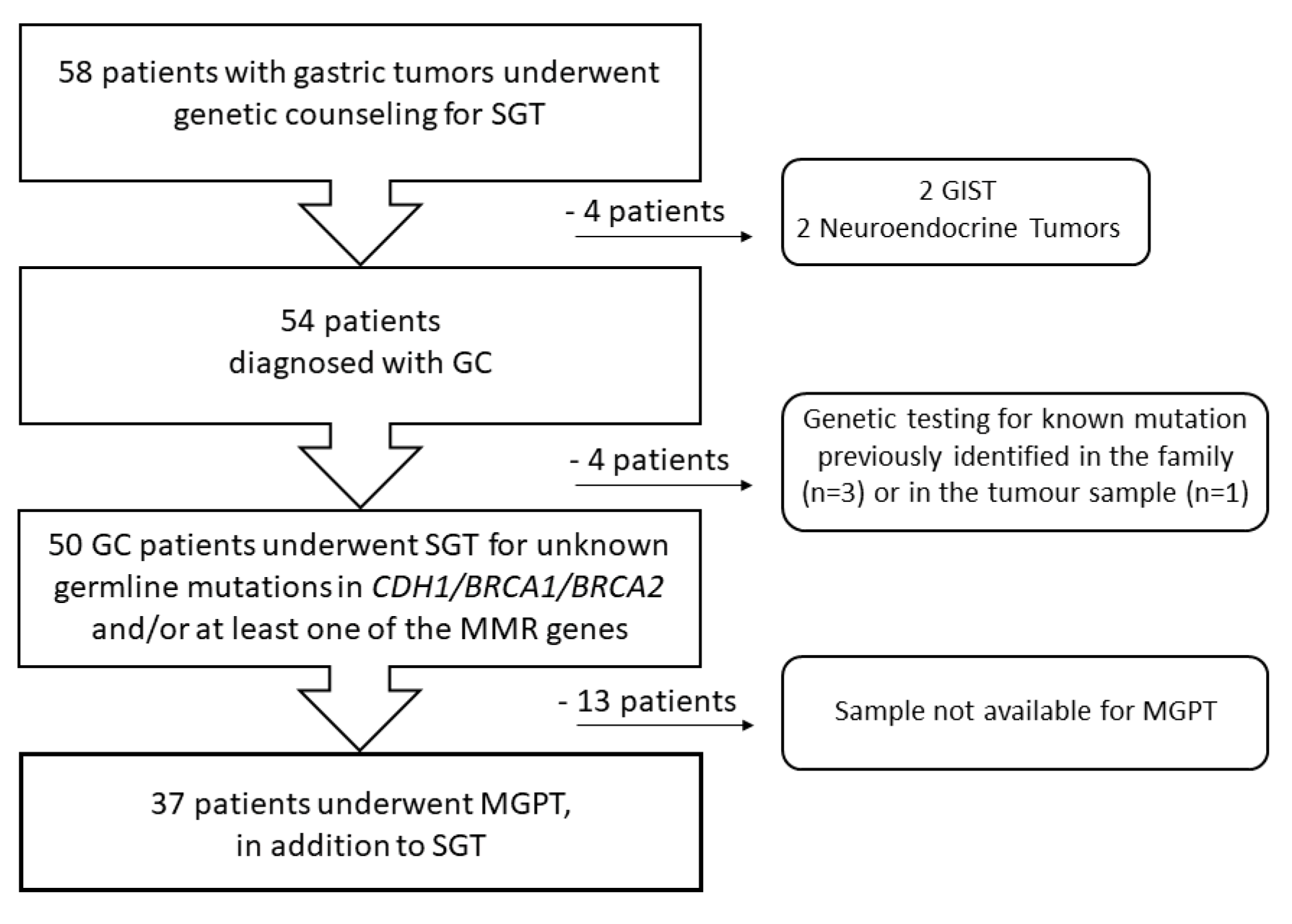 Genes 14 01077 g001