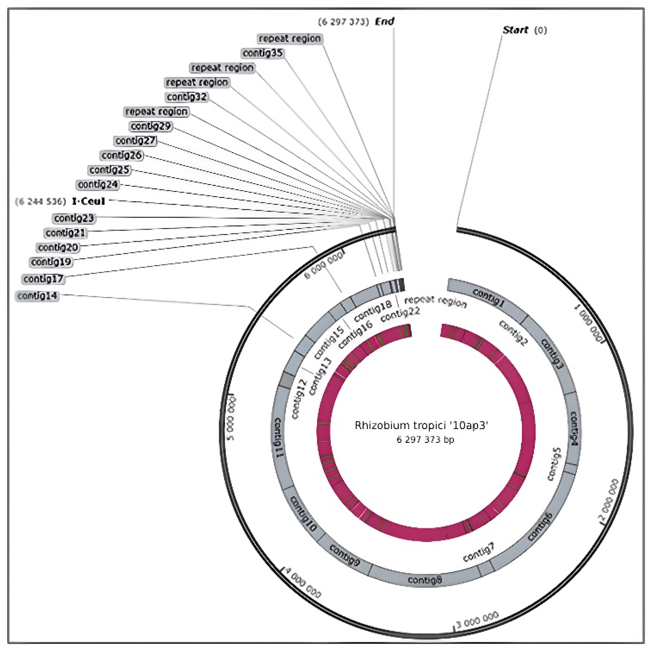 Genes 14 01084 g001