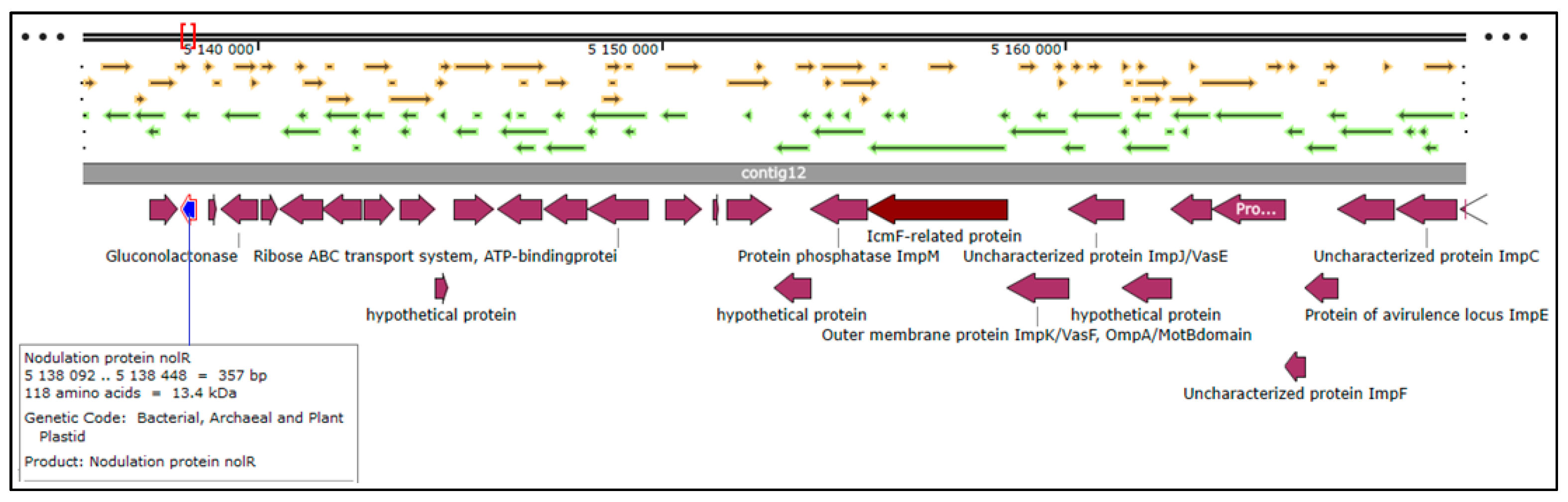Genes 14 01084 g003