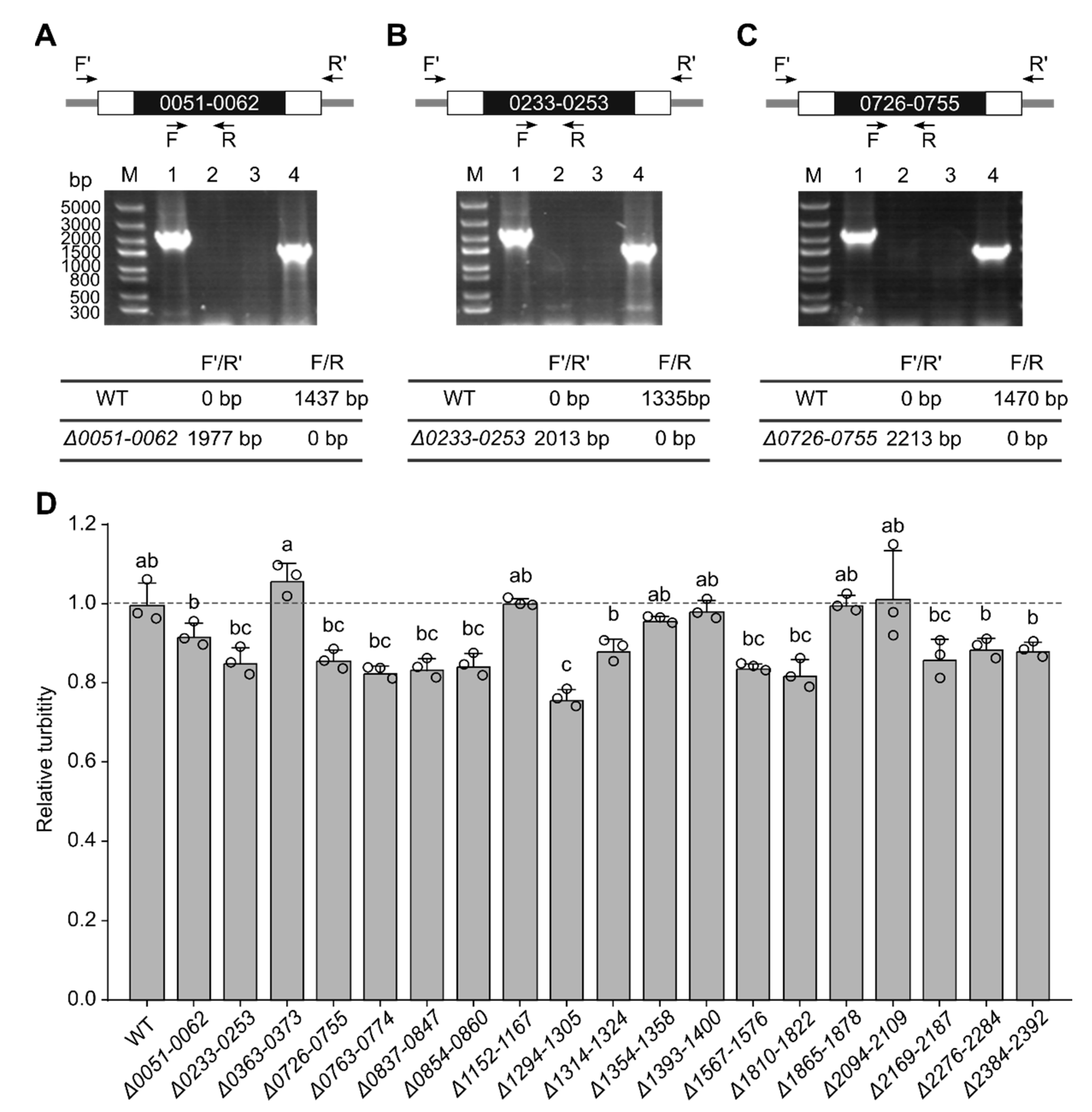 Genes 14 01091 g002 Genes 14 01091 g002