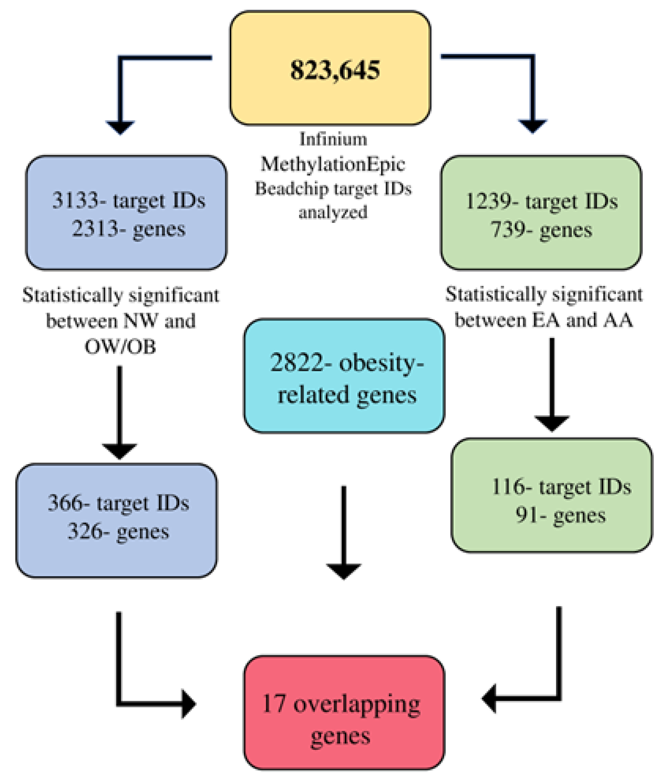 Genes 14 01098 g001