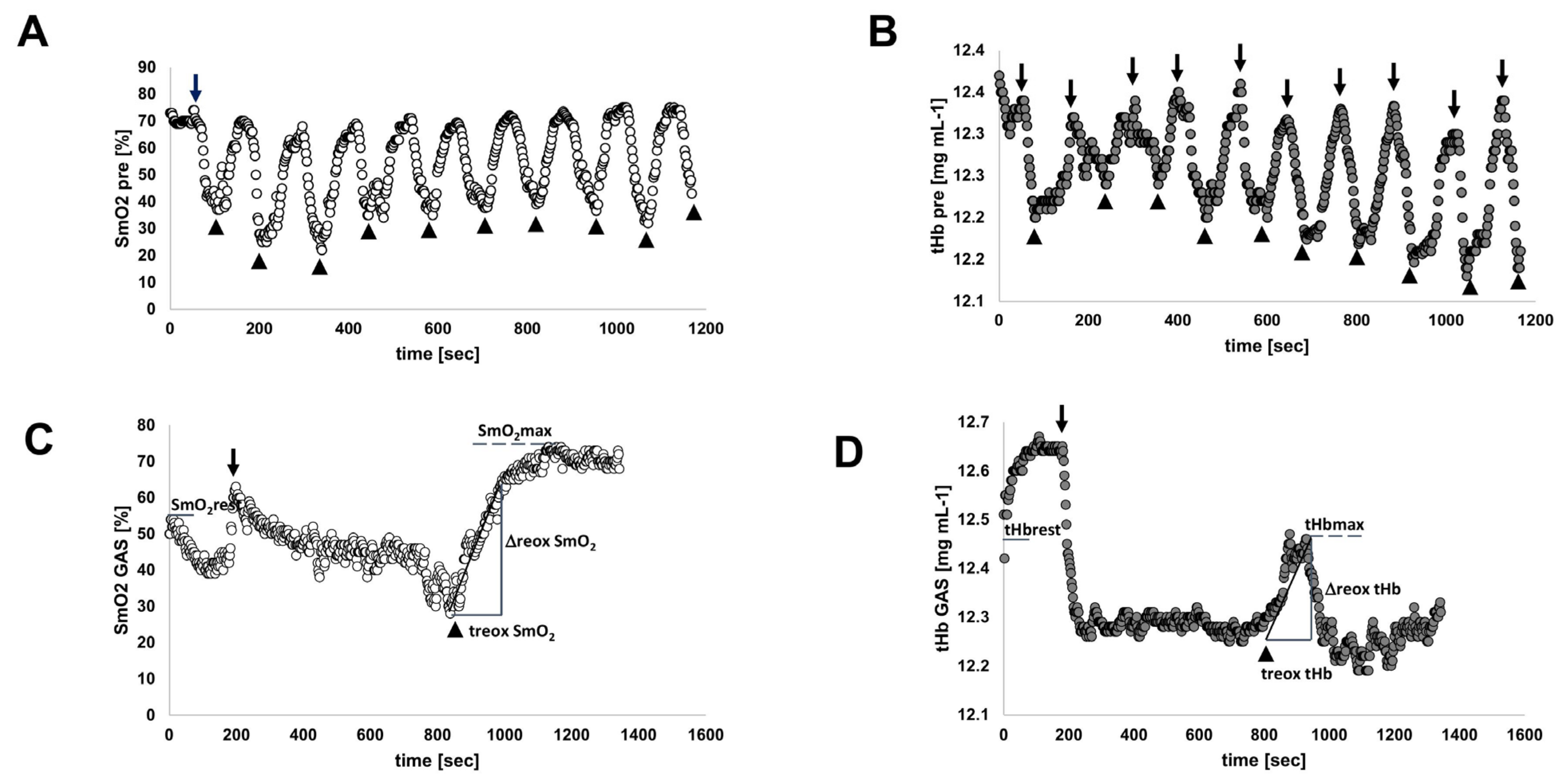 Genes 14 01100 g001