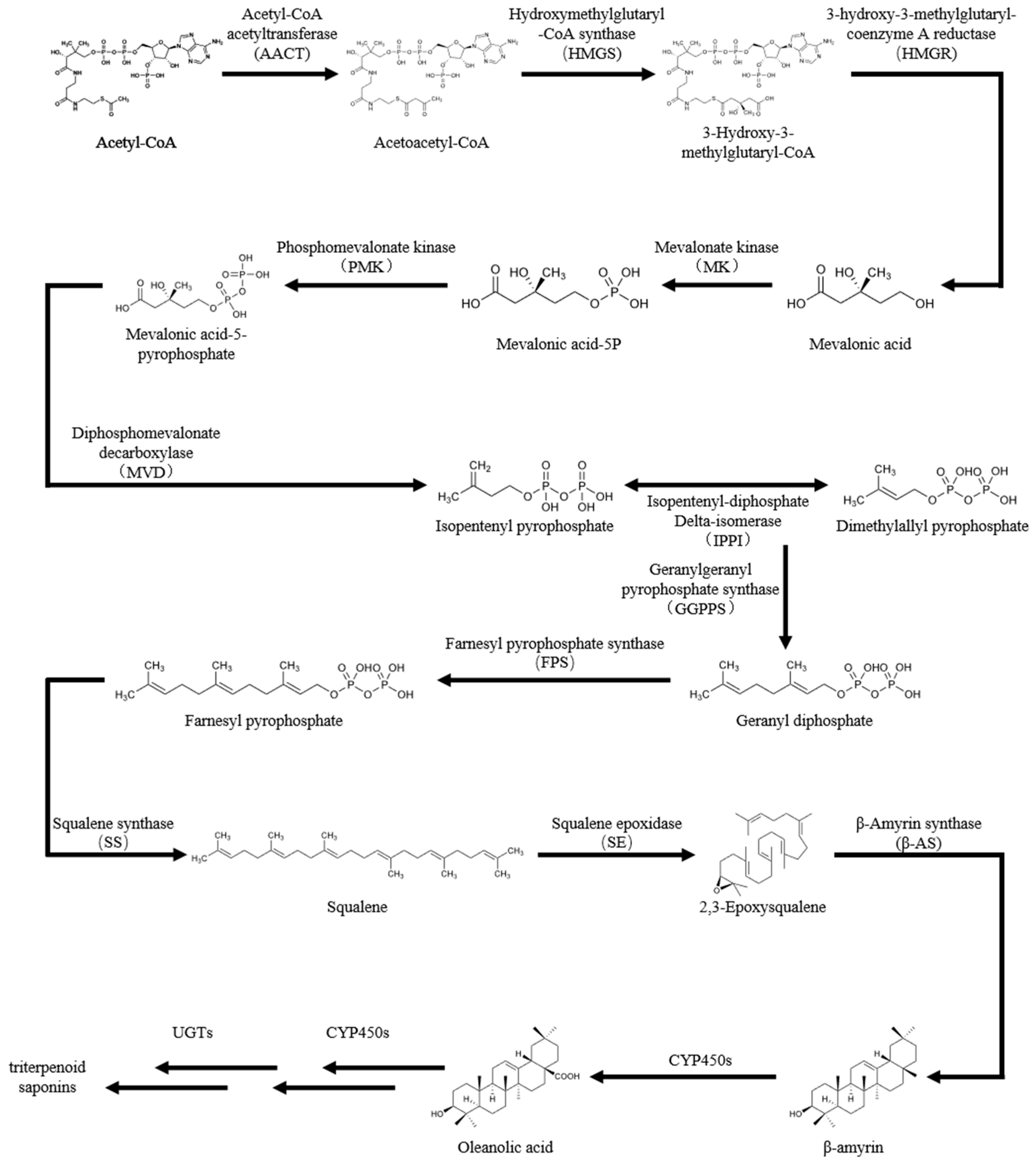 Genes 14 01132 g001 Genes 14 01132 g001