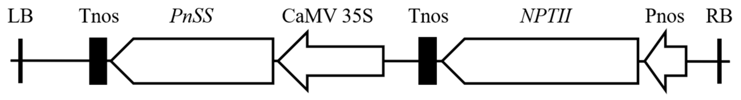 Genes 14 01132 g002 Genes 14 01132 g002