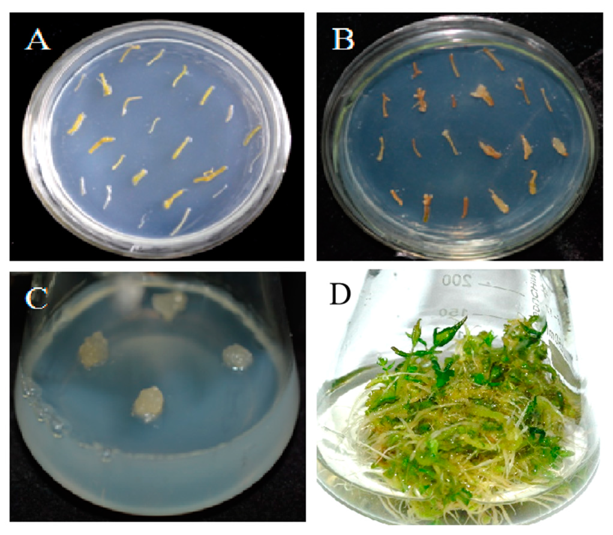 Genes 14 01132 g003 Genes 14 01132 g003