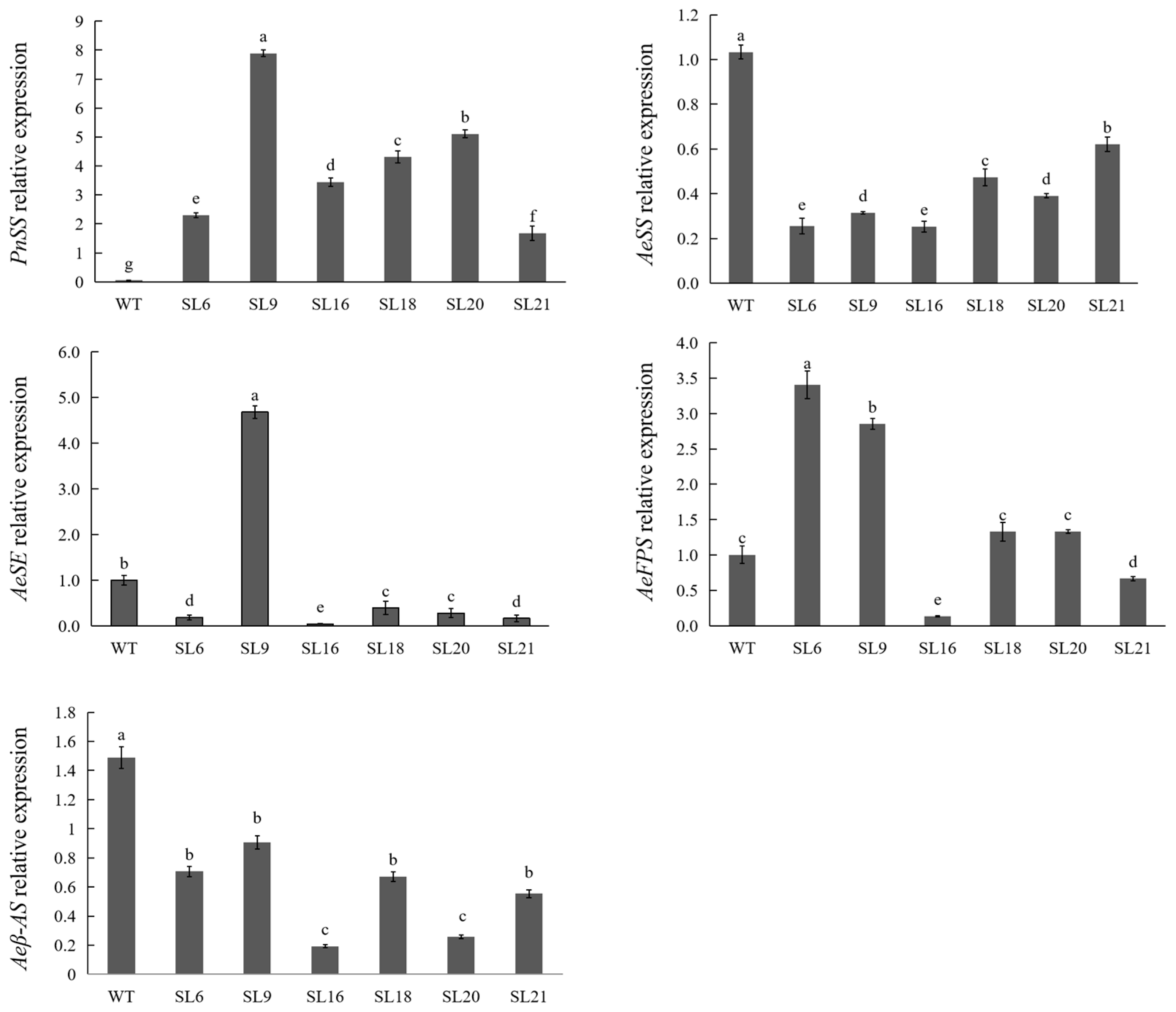 Genes 14 01132 g005 Genes 14 01132 g005
