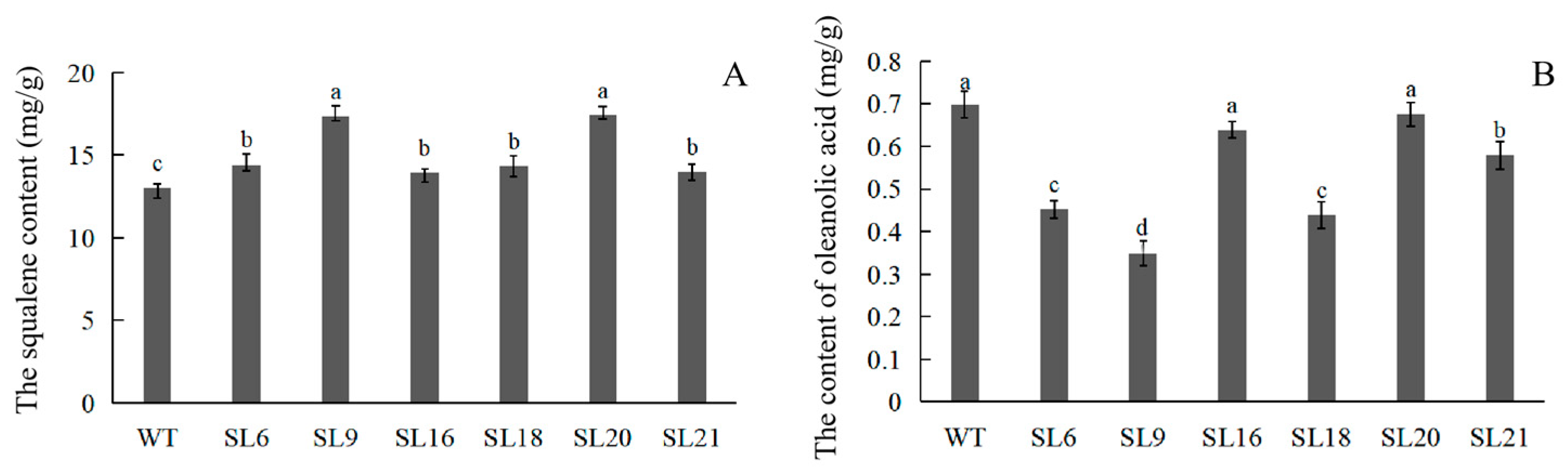 Genes 14 01132 g007 Genes 14 01132 g007