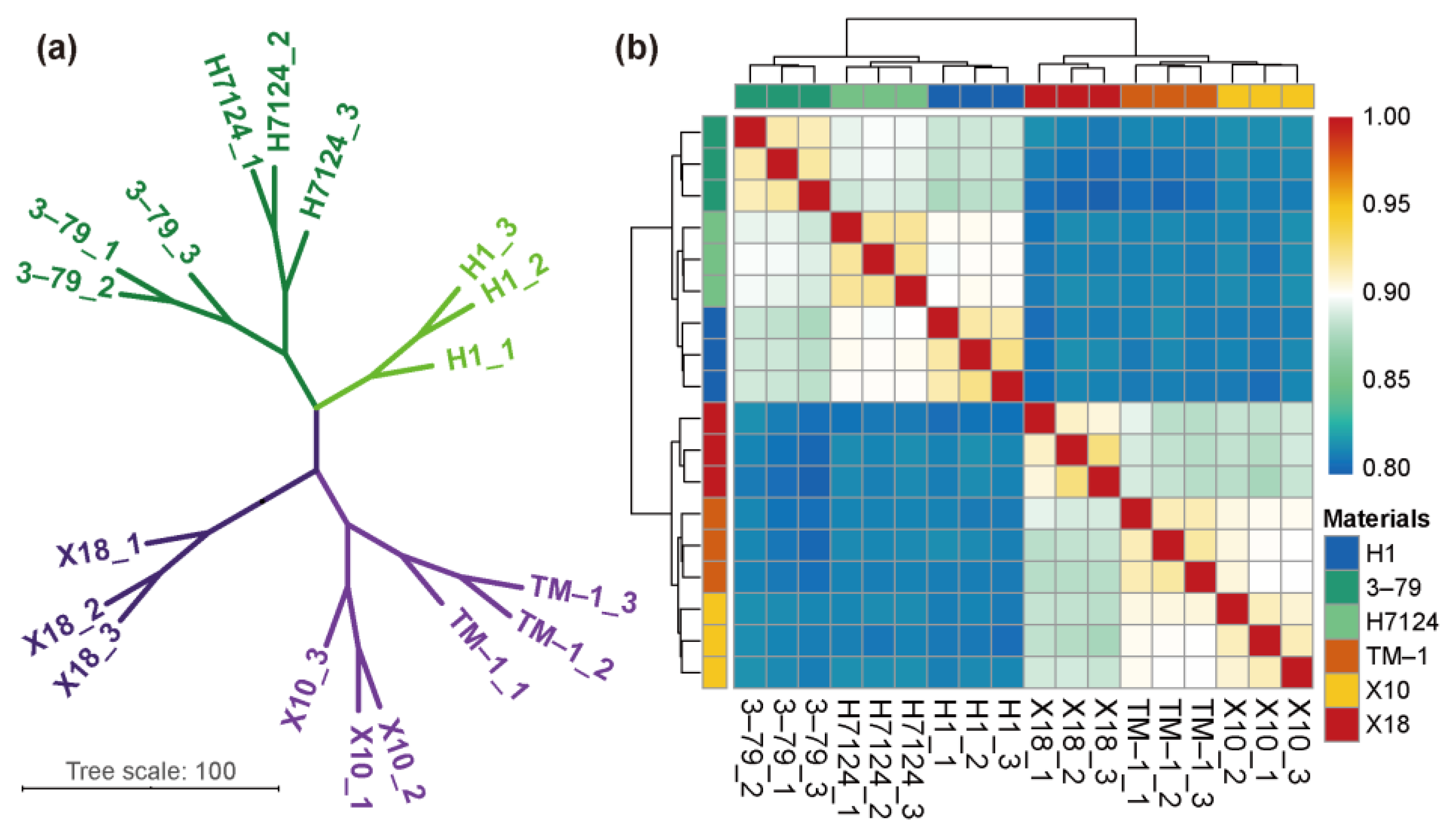 Genes 14 01144 g001