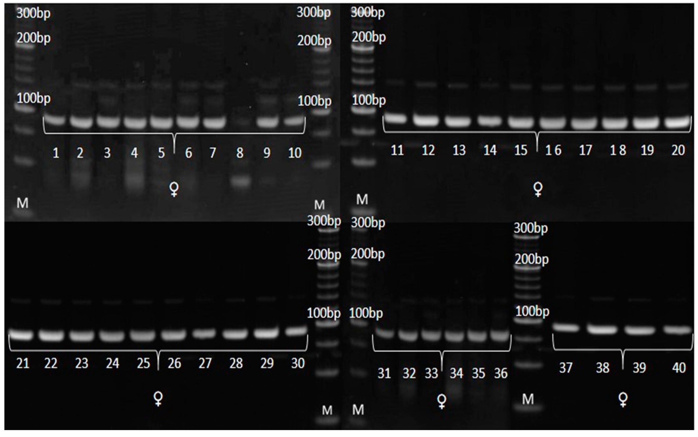 Genes 14 01195 g008