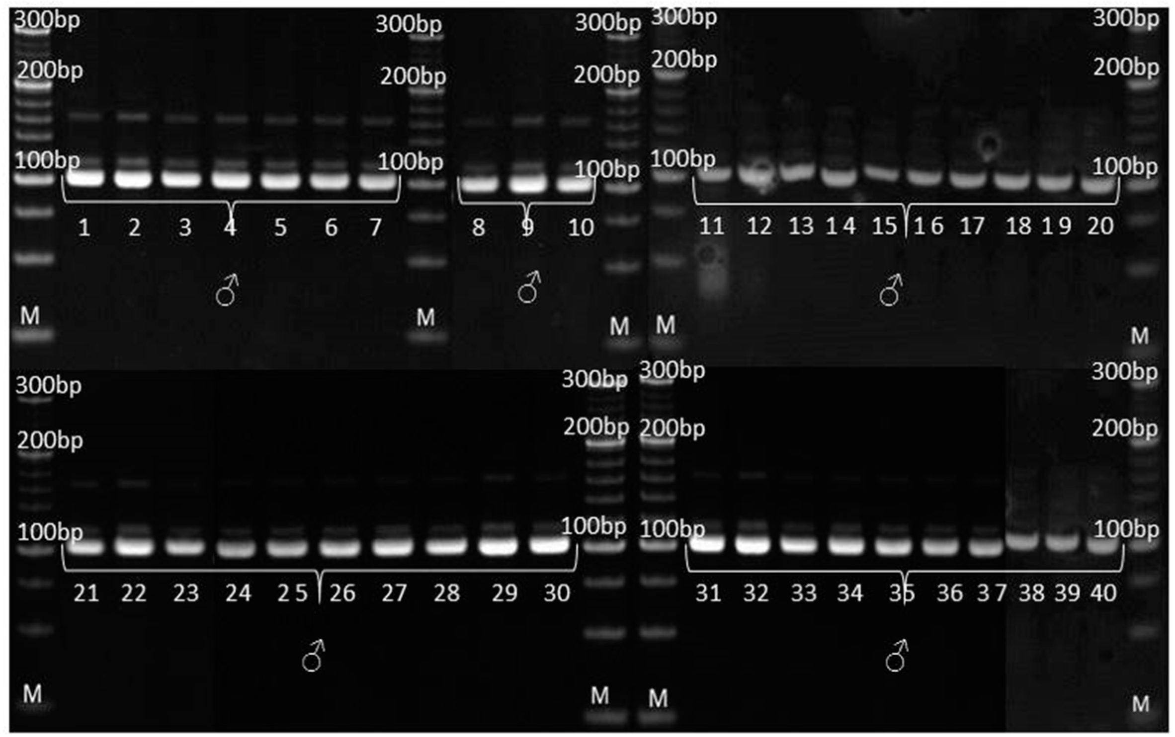 Genes 14 01195 g009