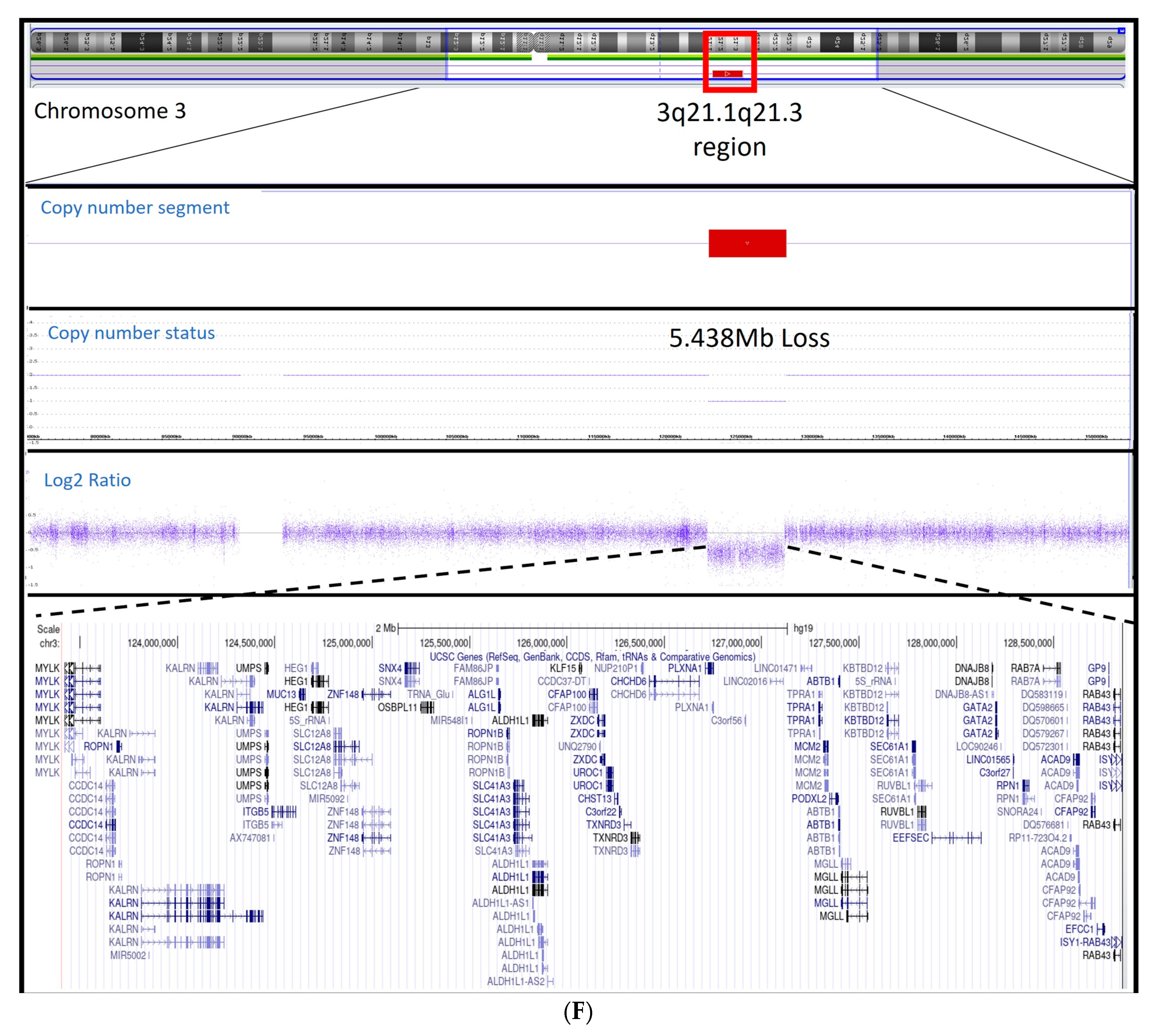 Genes 14 01225 g001c