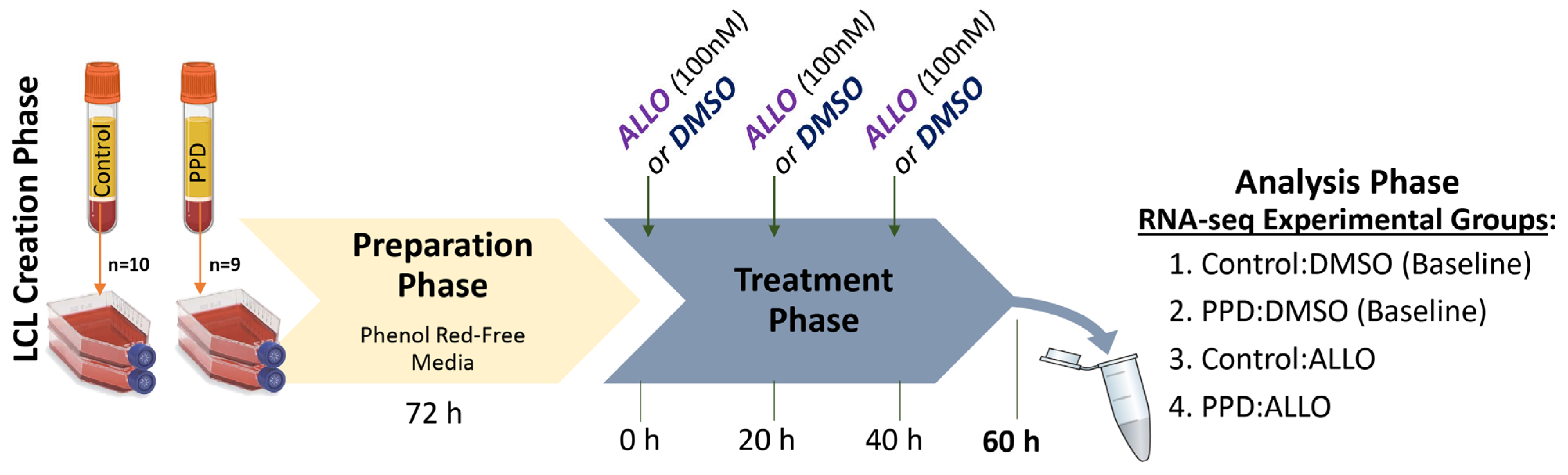 Genes 14 01234 g001 Genes 14 01234 g001