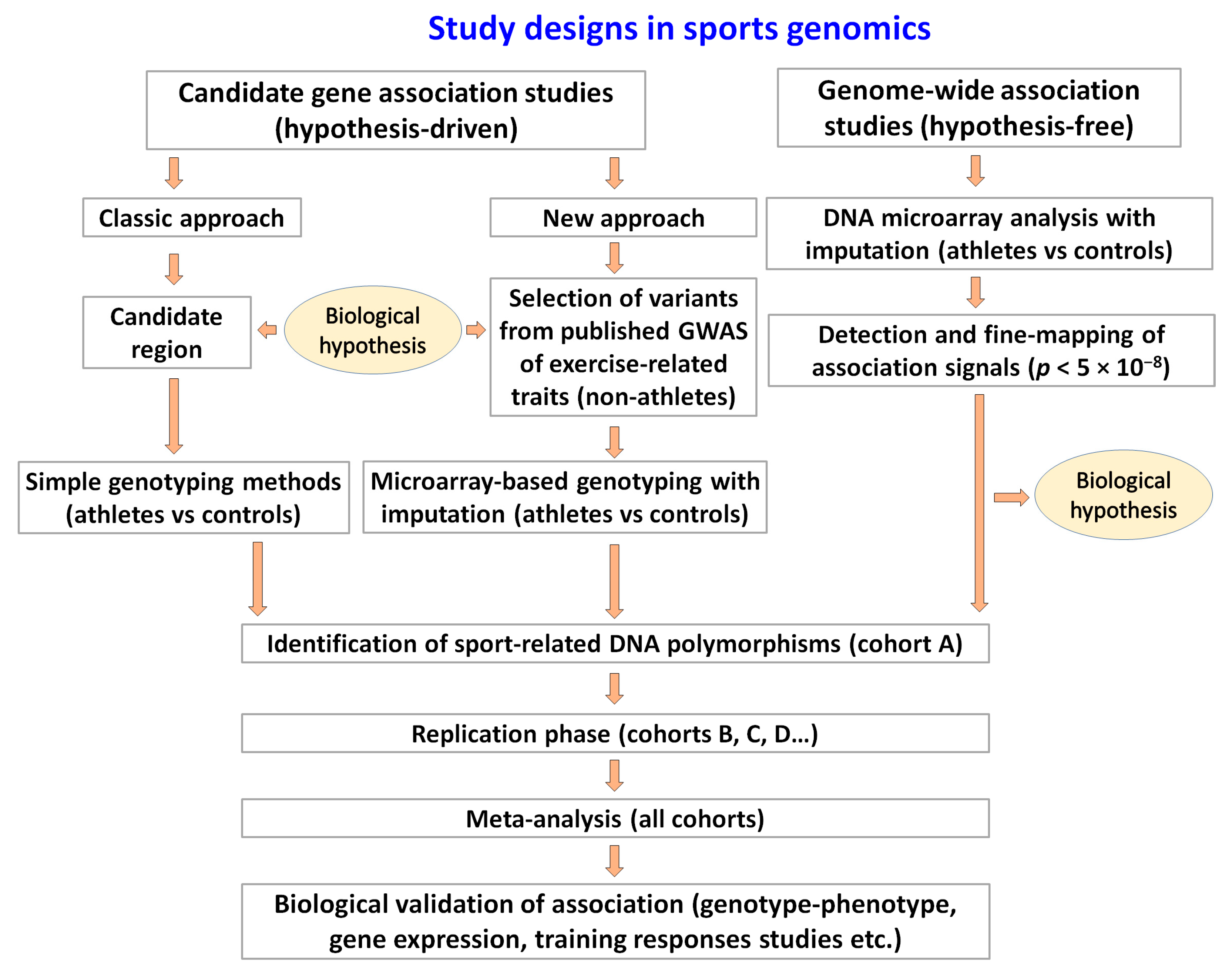 Genes 14 01235 g001 Genes 14 01235 g001