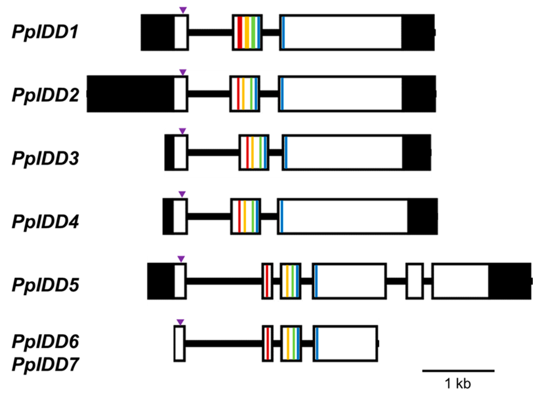 Genes 14 01249 g001 Genes 14 01249 g001