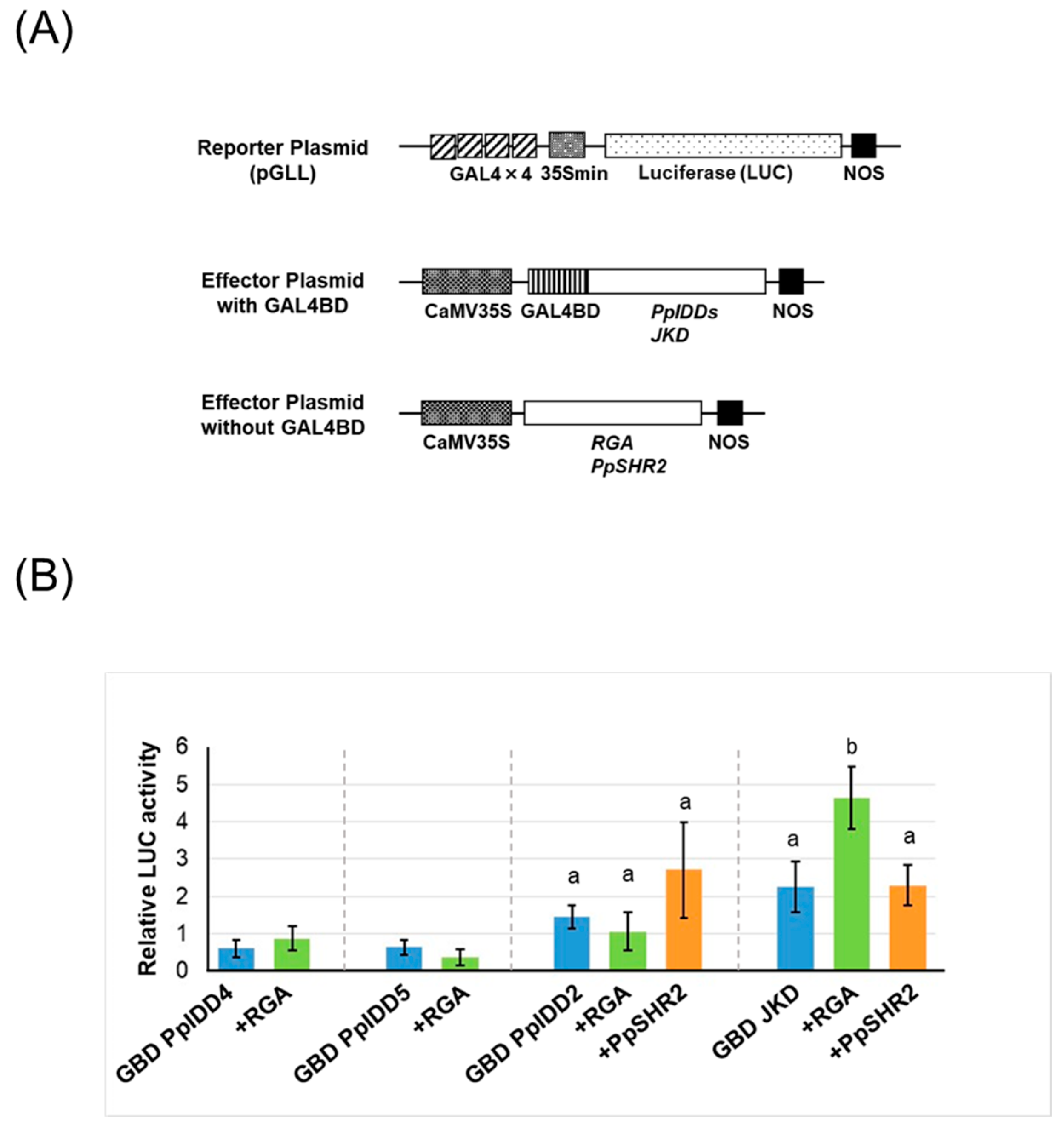 Genes 14 01249 g004 Genes 14 01249 g004