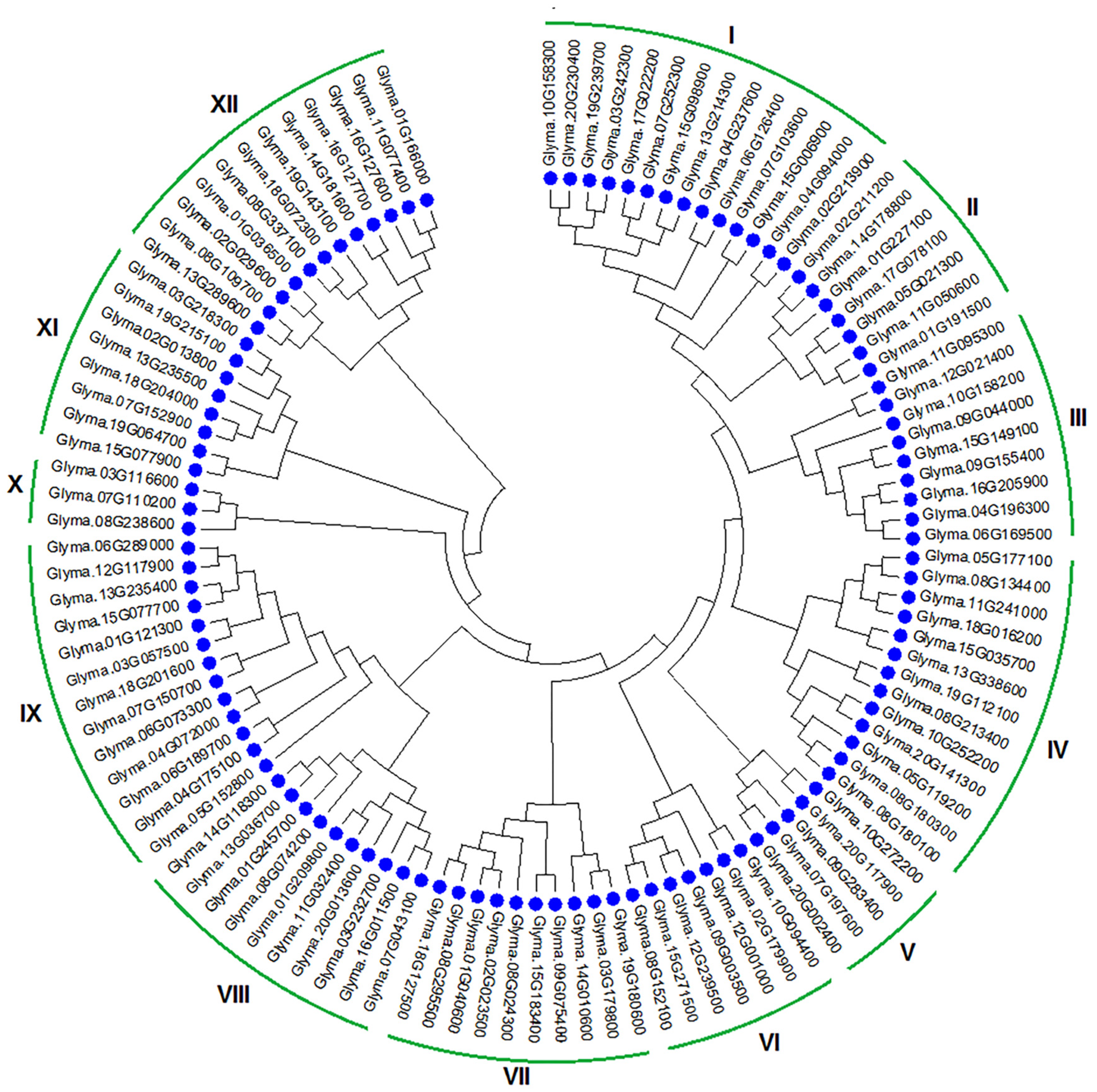 Genes 14 01254 g001